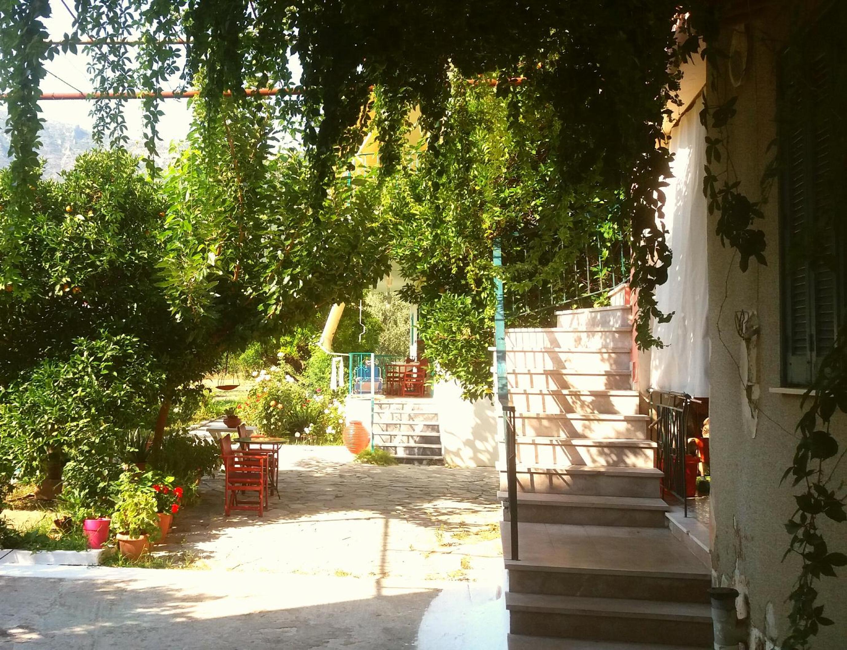 Photo 7