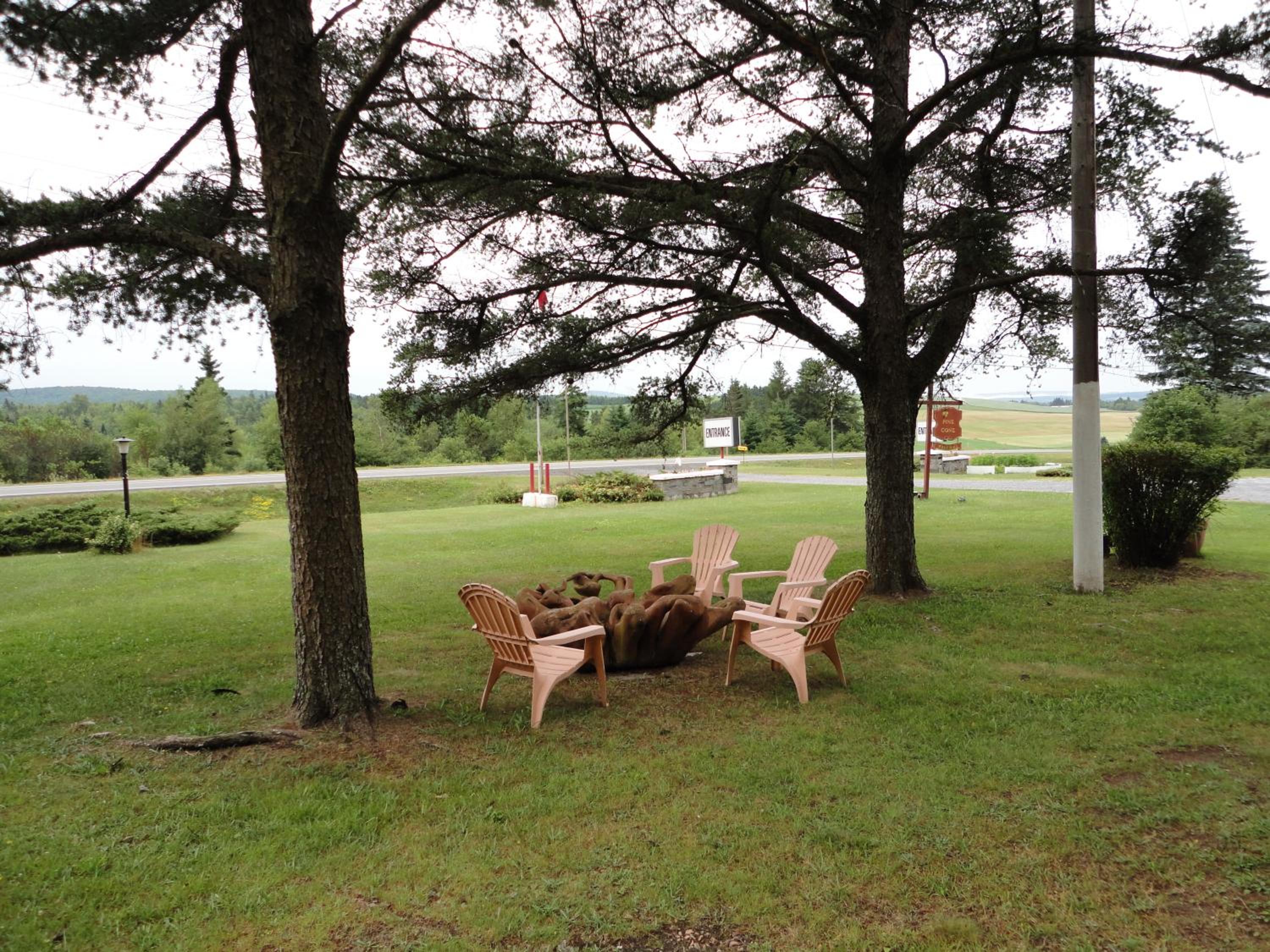 Pinecone Motel