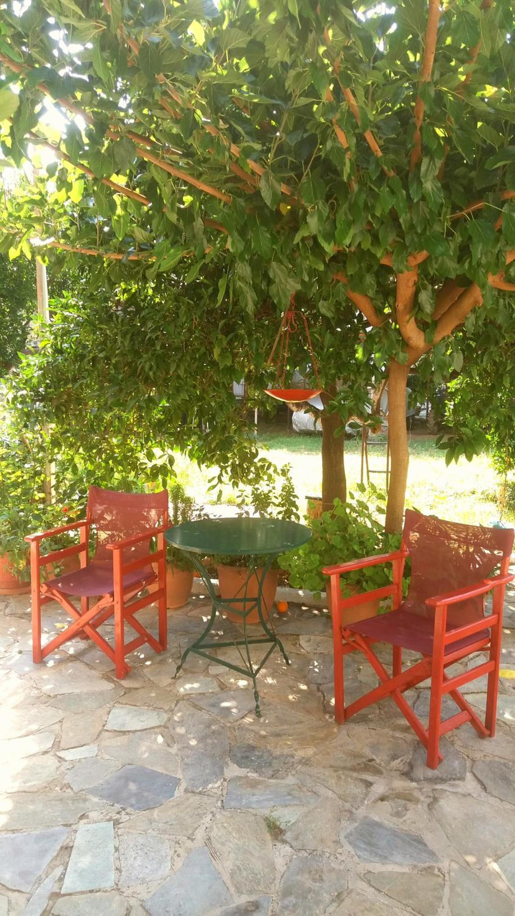 Photo 14