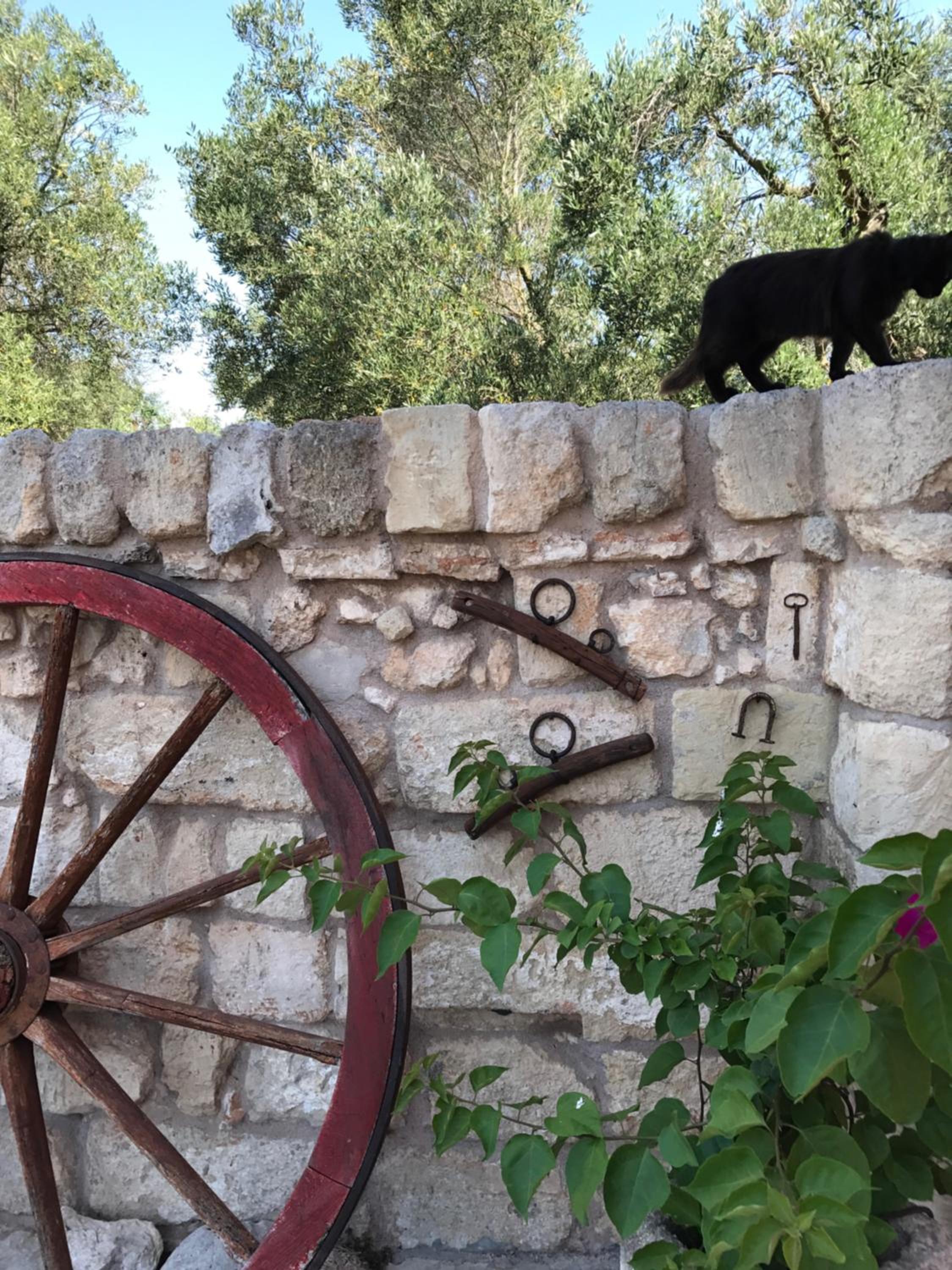 Agriturismo Masseria Saittole
