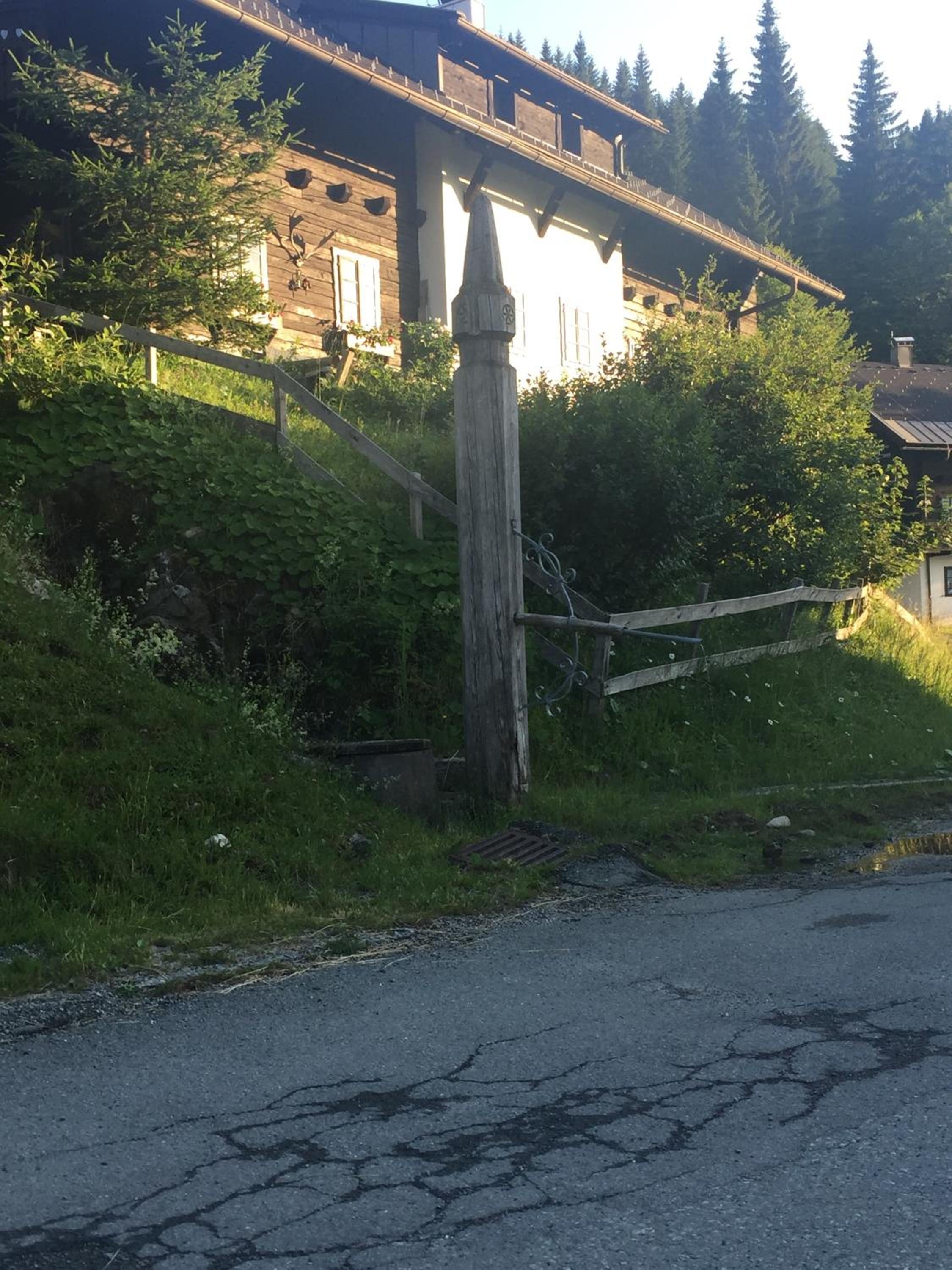 Photo 6