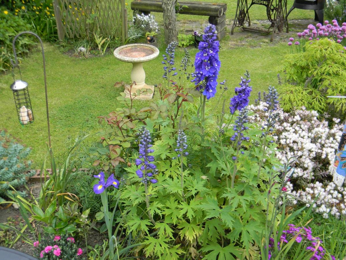 Ugiebrae House Bed & Breakfast
