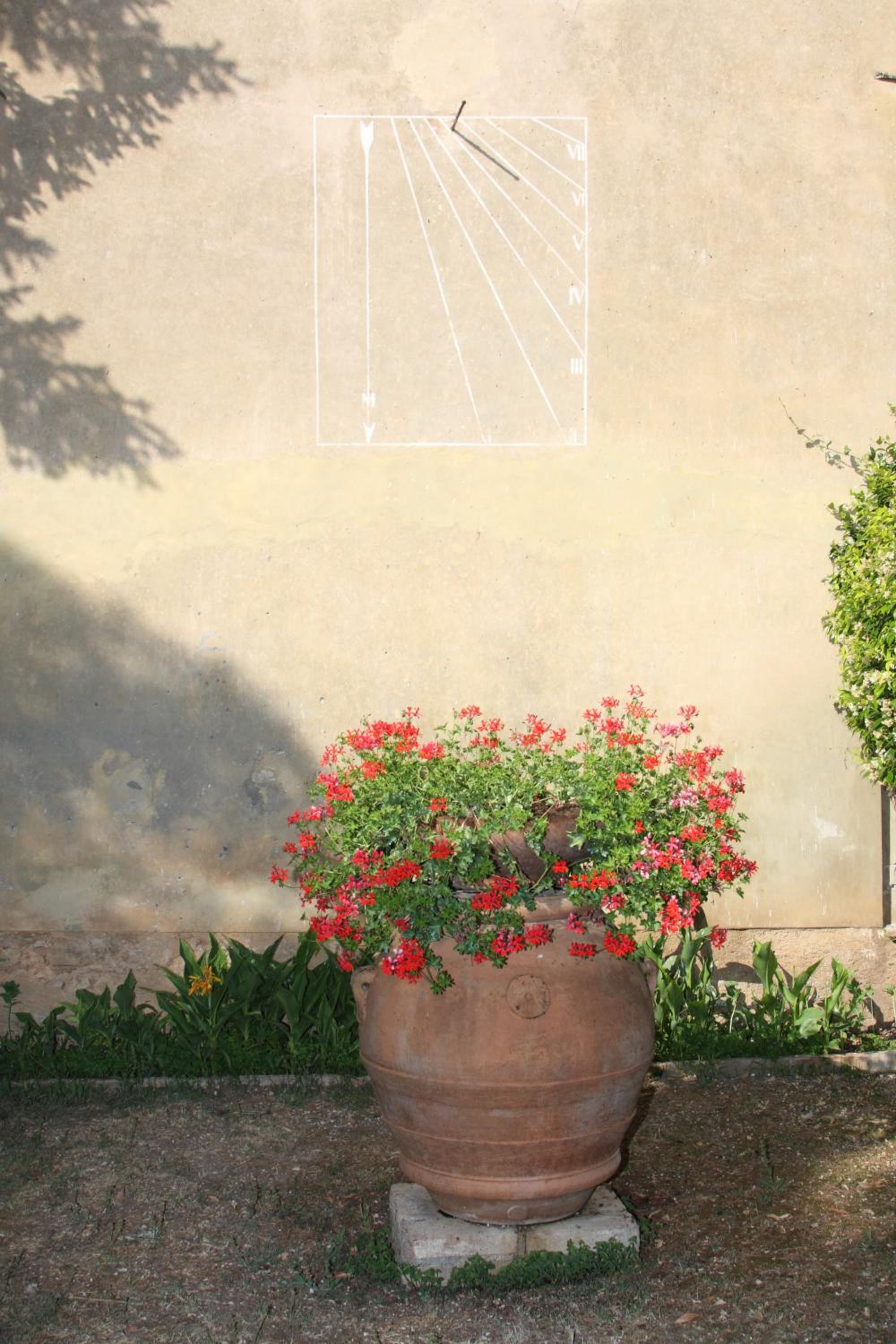 Villa del Cardinale