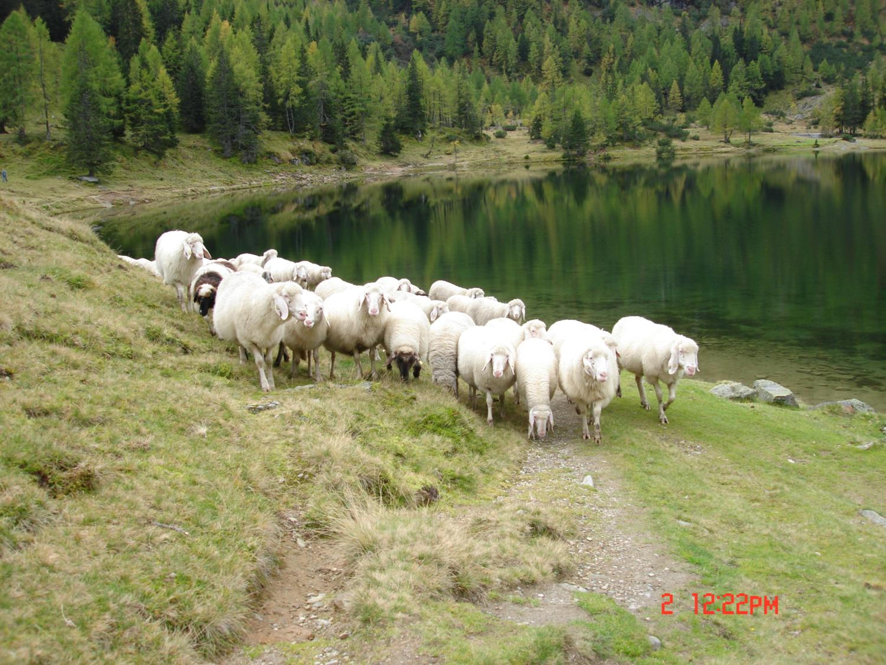 Photo 23