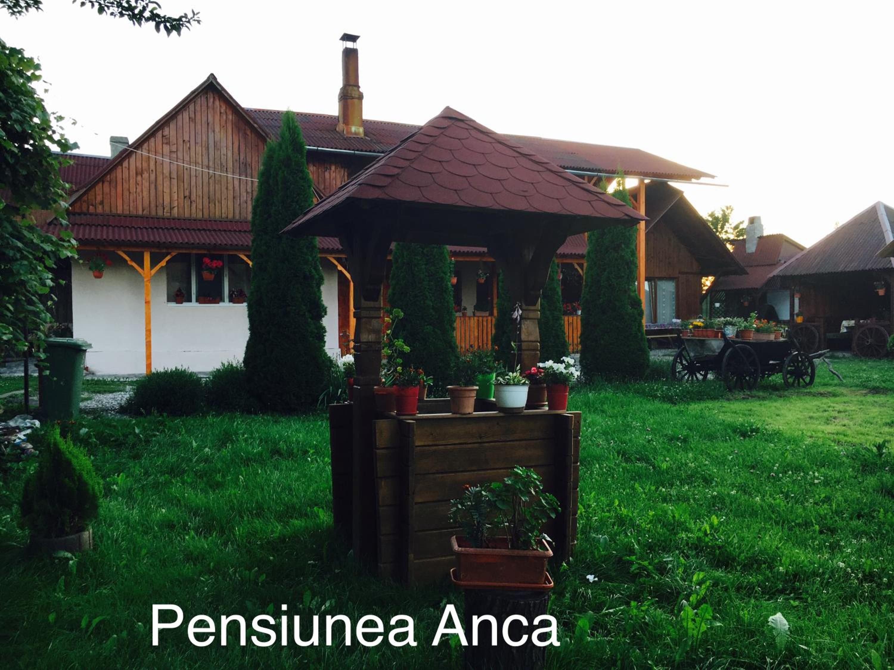 Photo 45