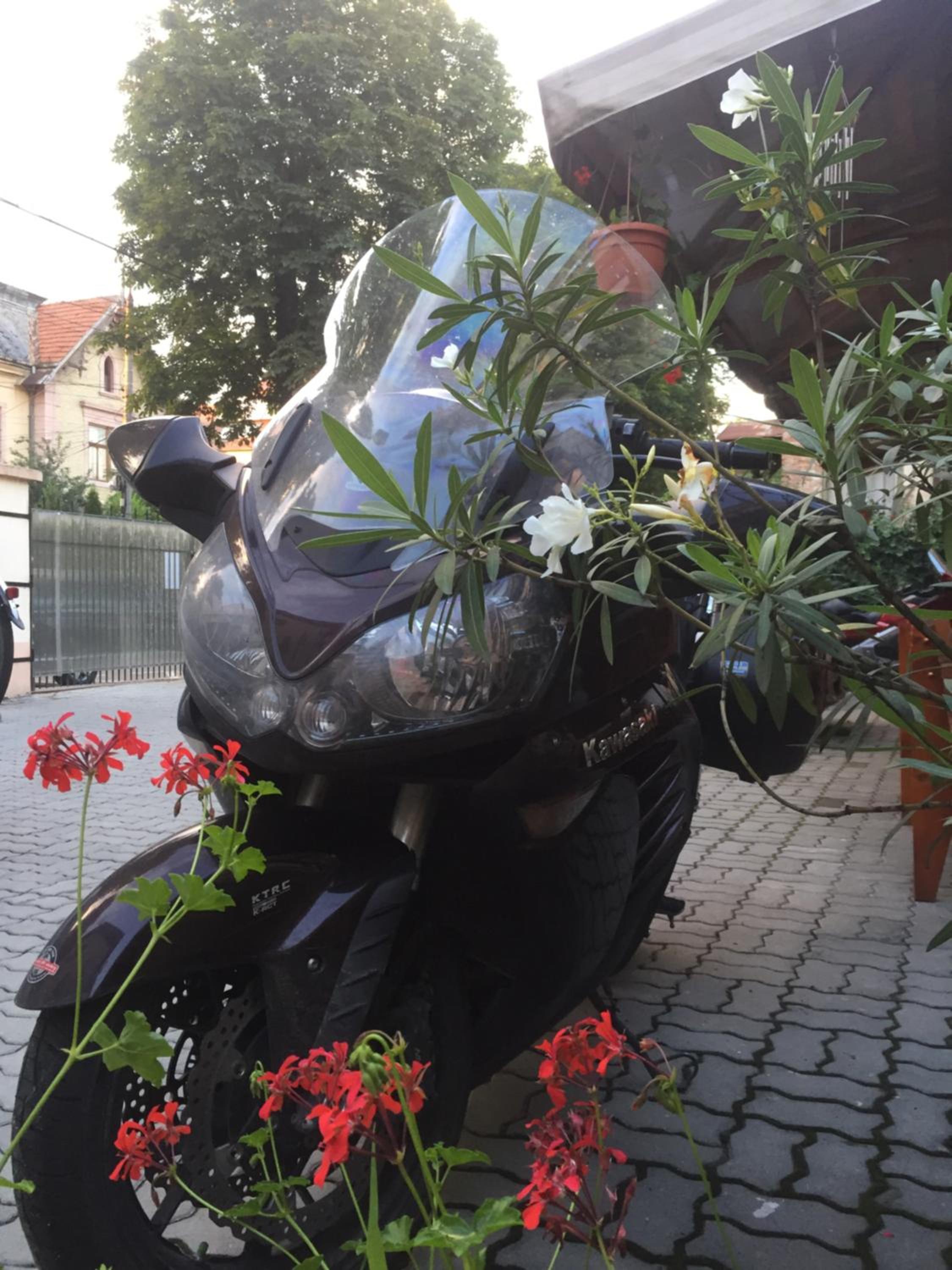 Pensiunea Buon Gusto Sibiu-motorcyle friendly,city center