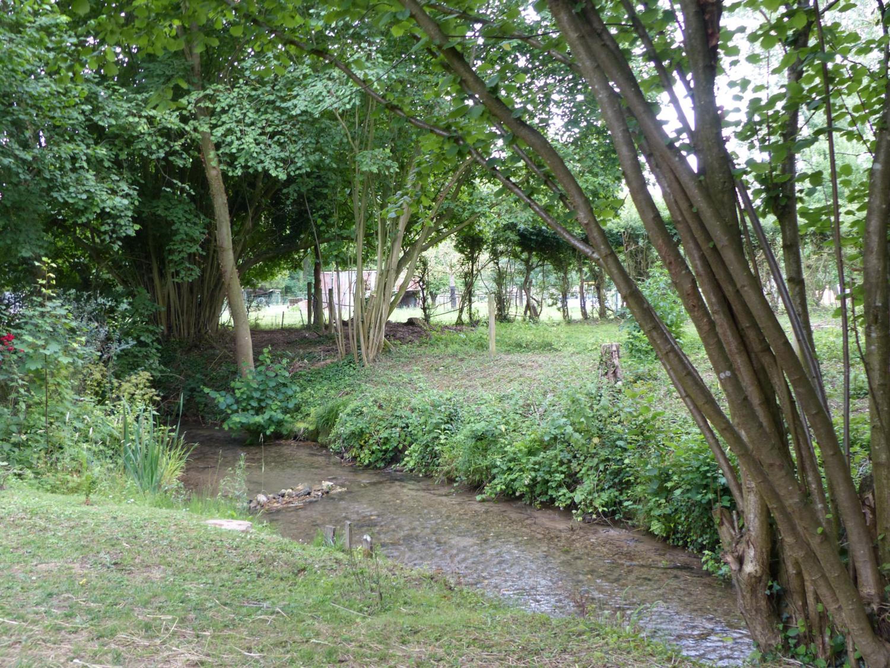 Photo 29