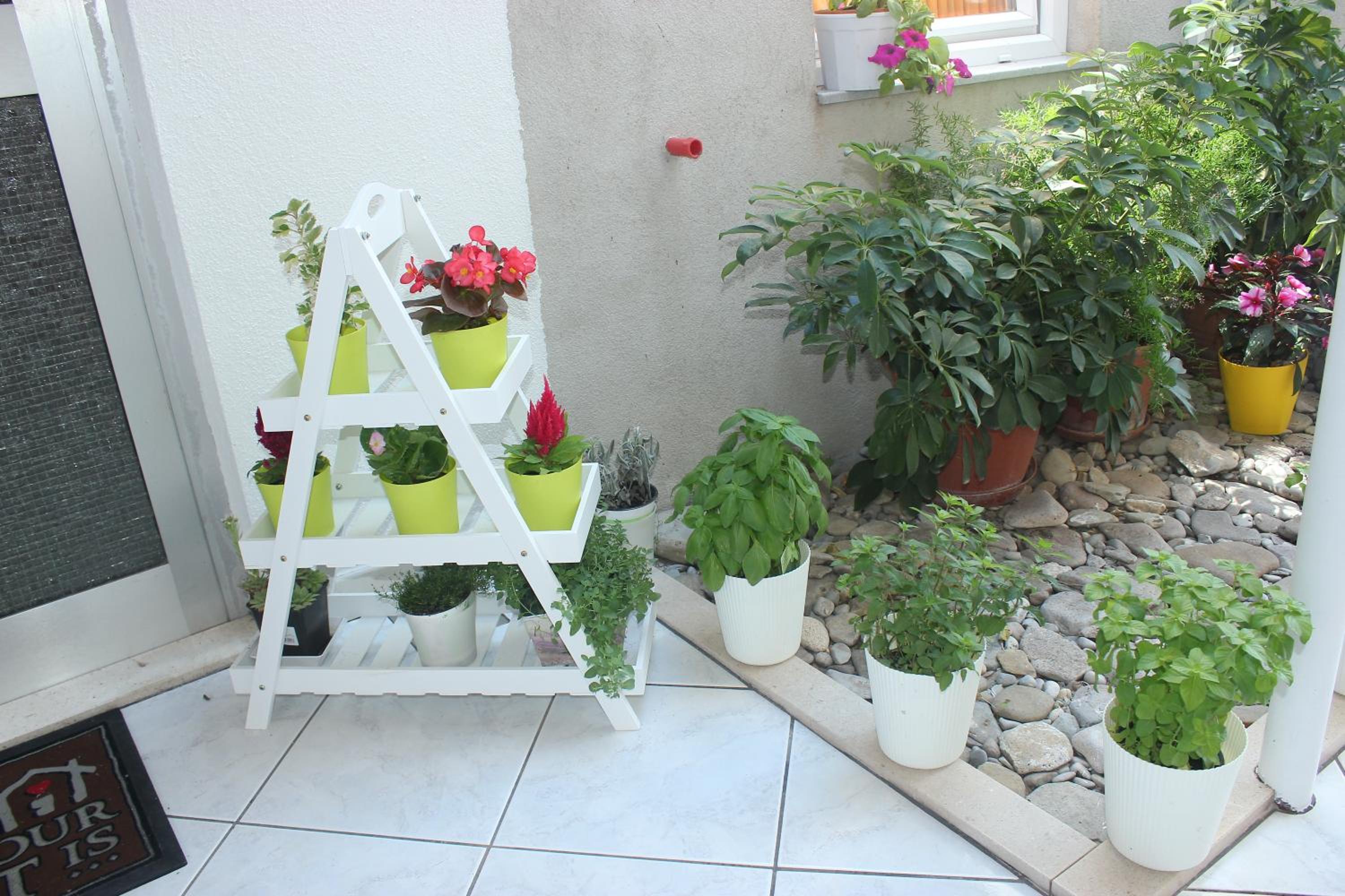 Photo 51