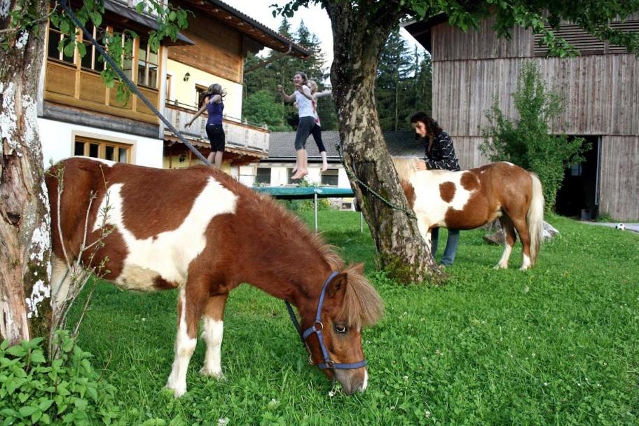 Haus Loferer
