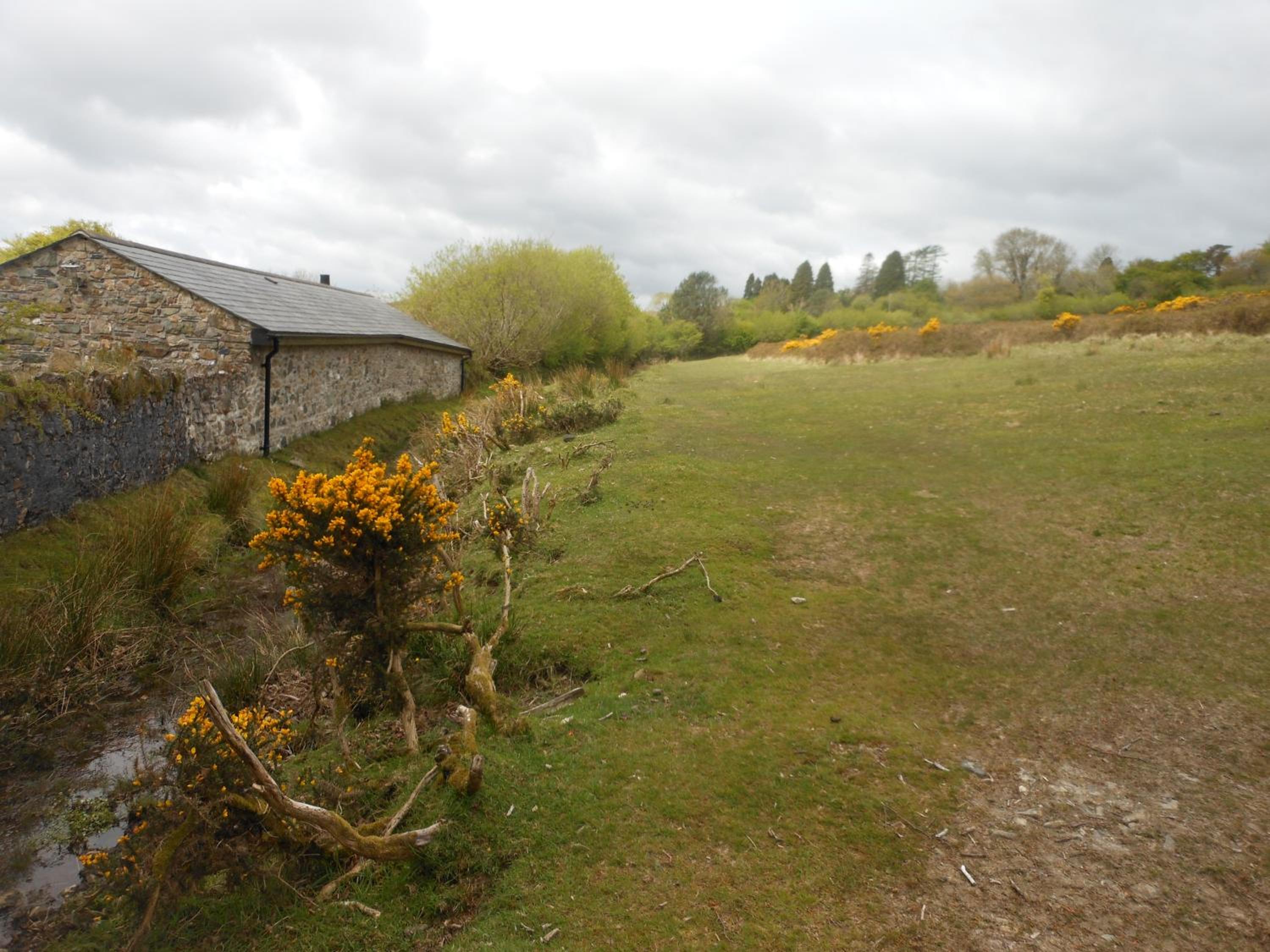 Photo 7