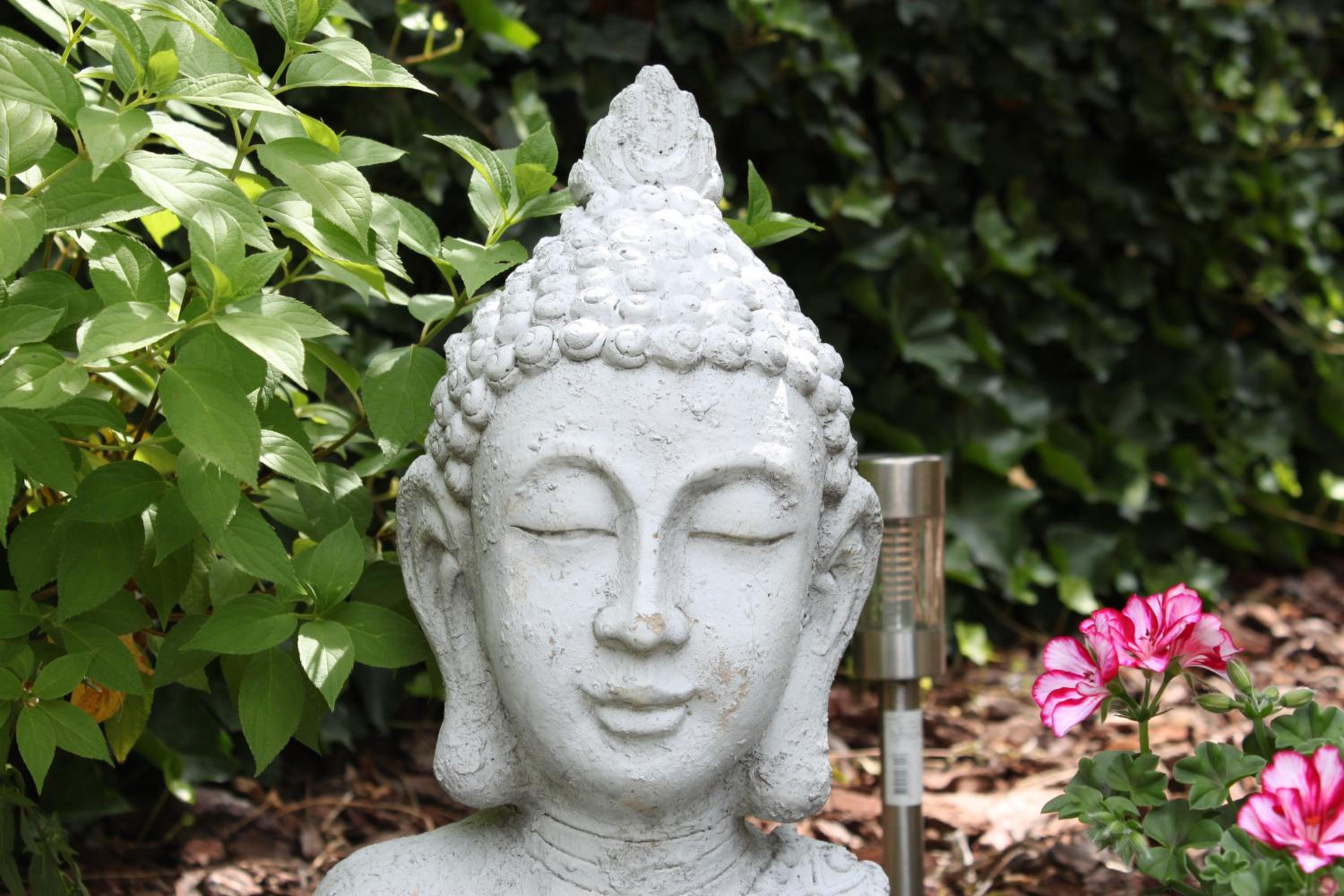 Rene's B&B