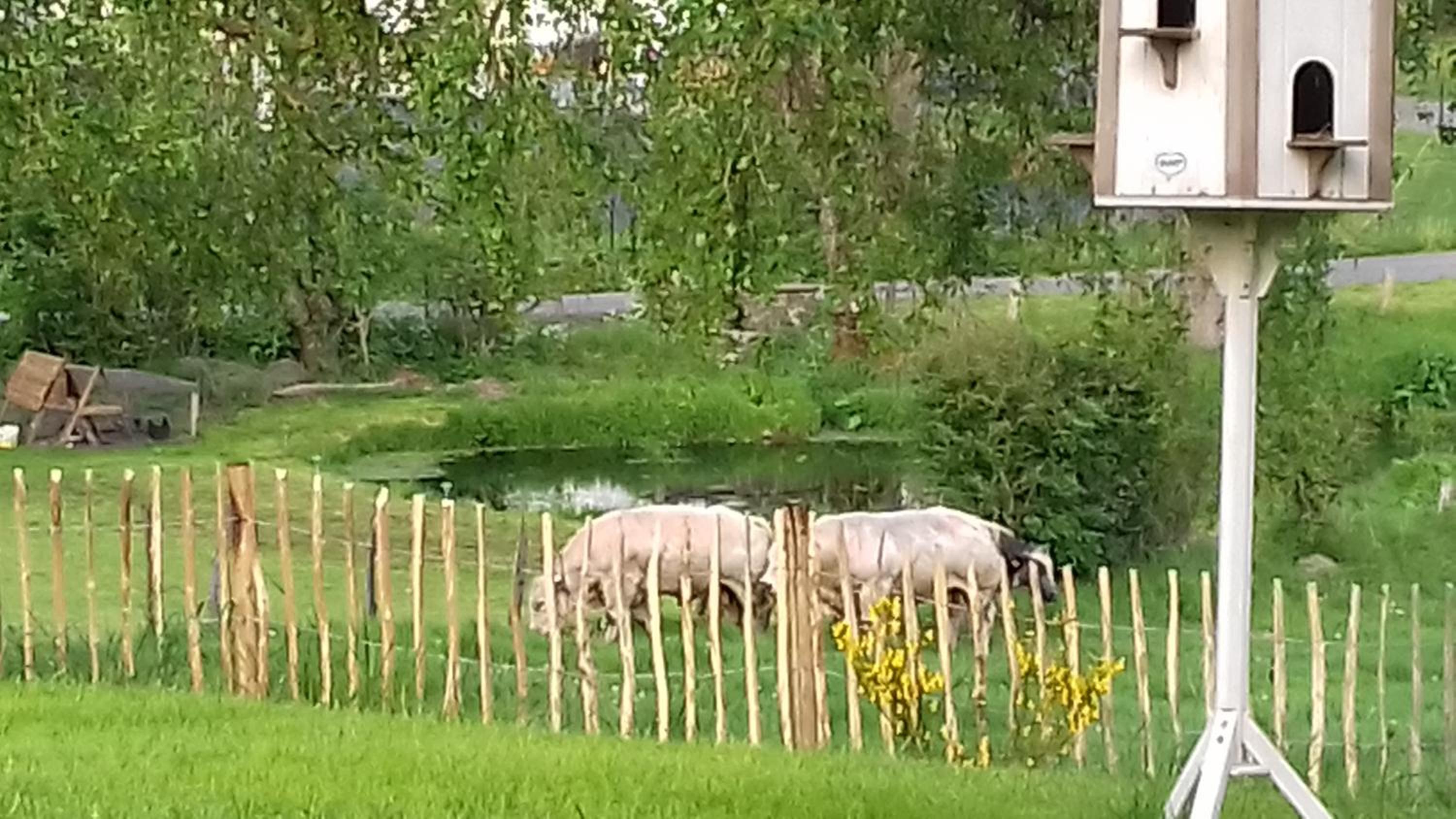 La ferme de Bertogne