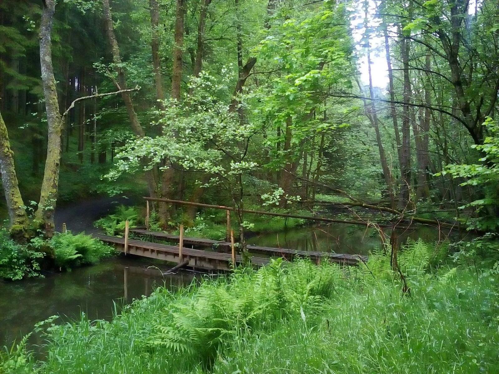 La ferme de Bertogne