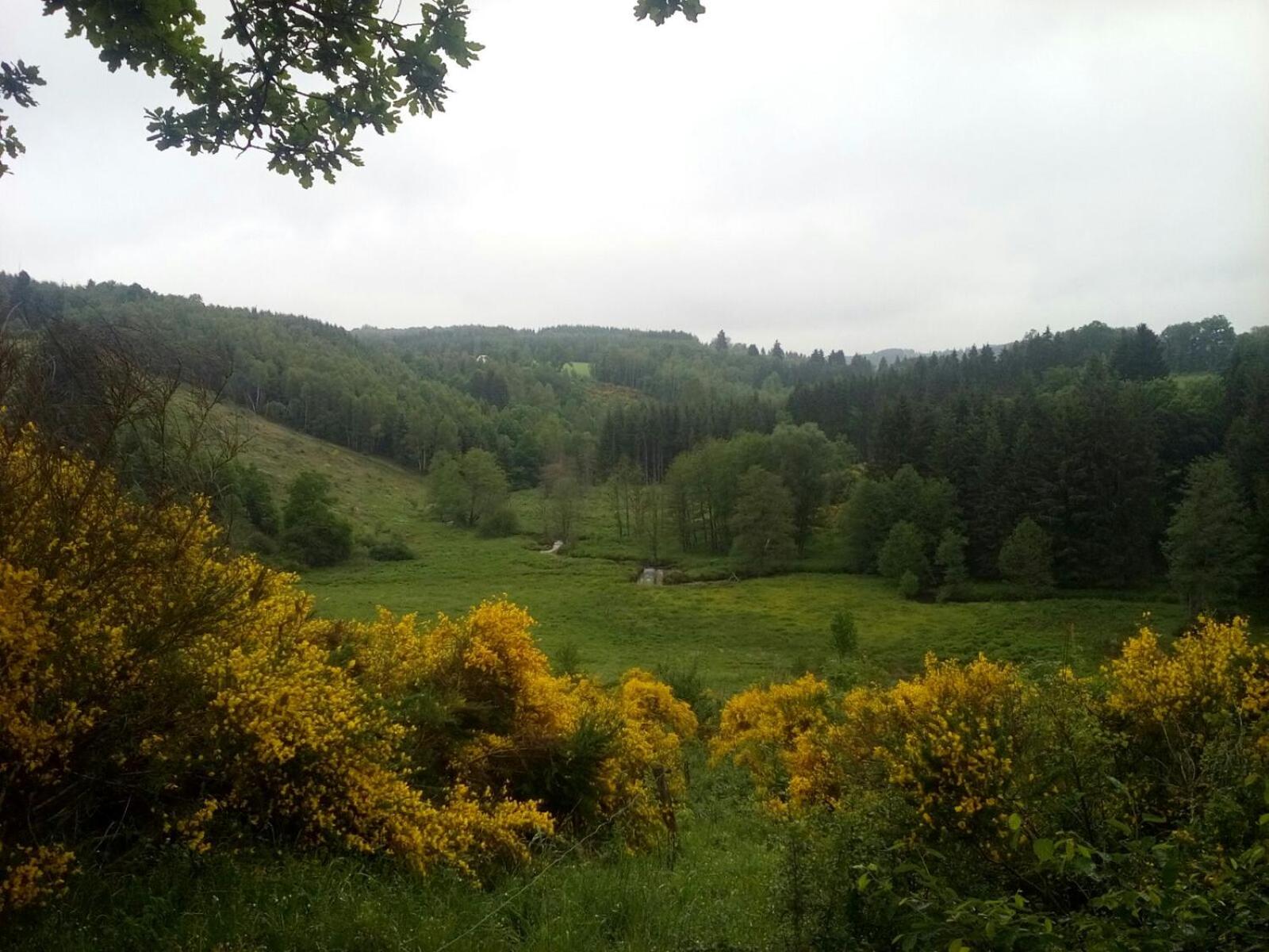 La ferme de Bertogne