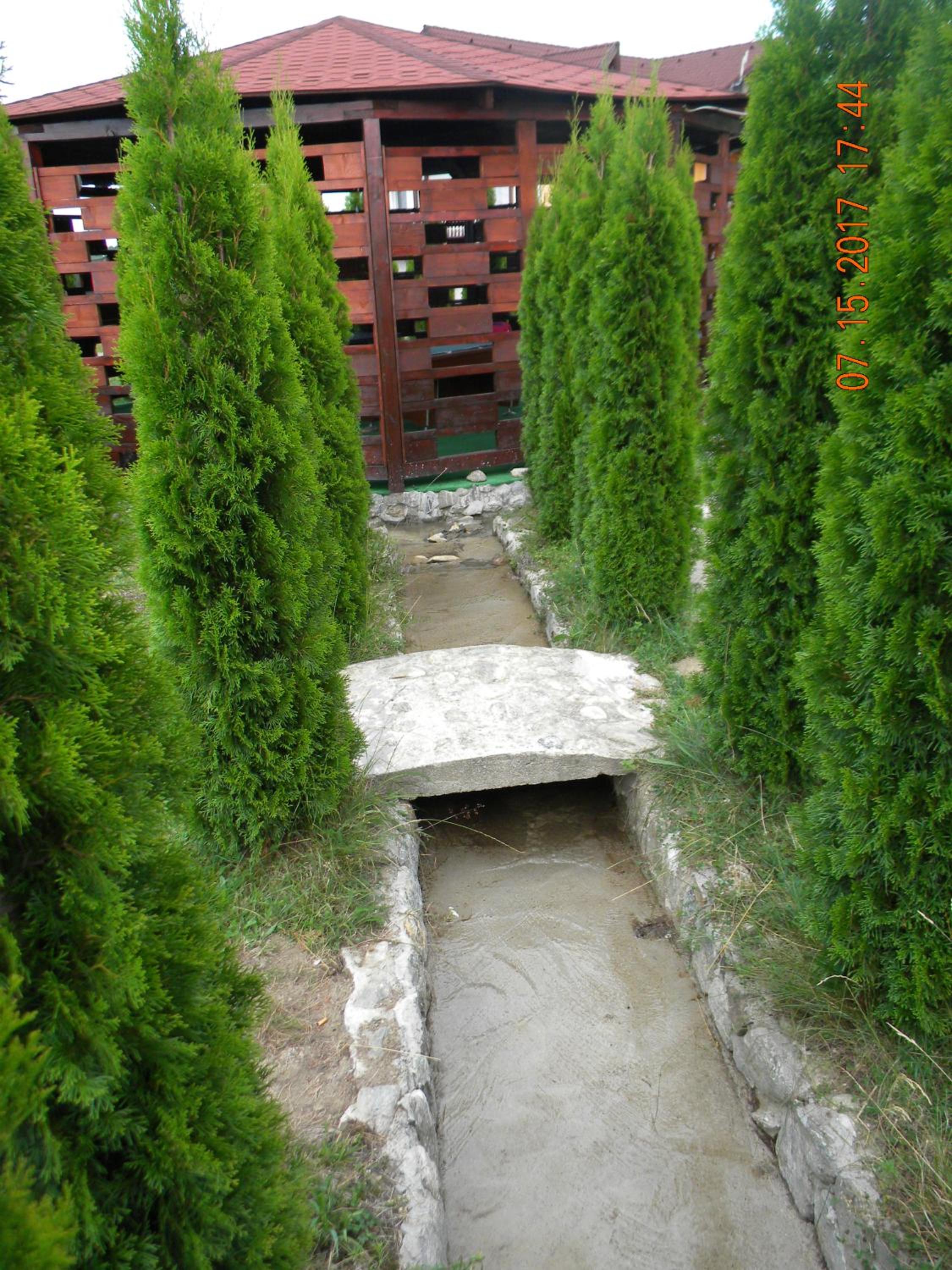 Photo 24
