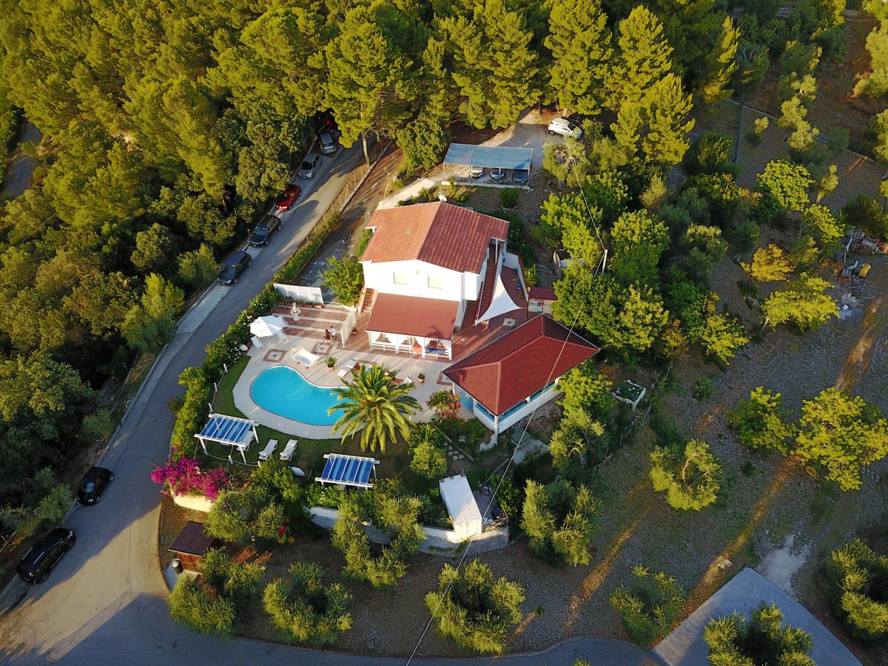 B&B White House