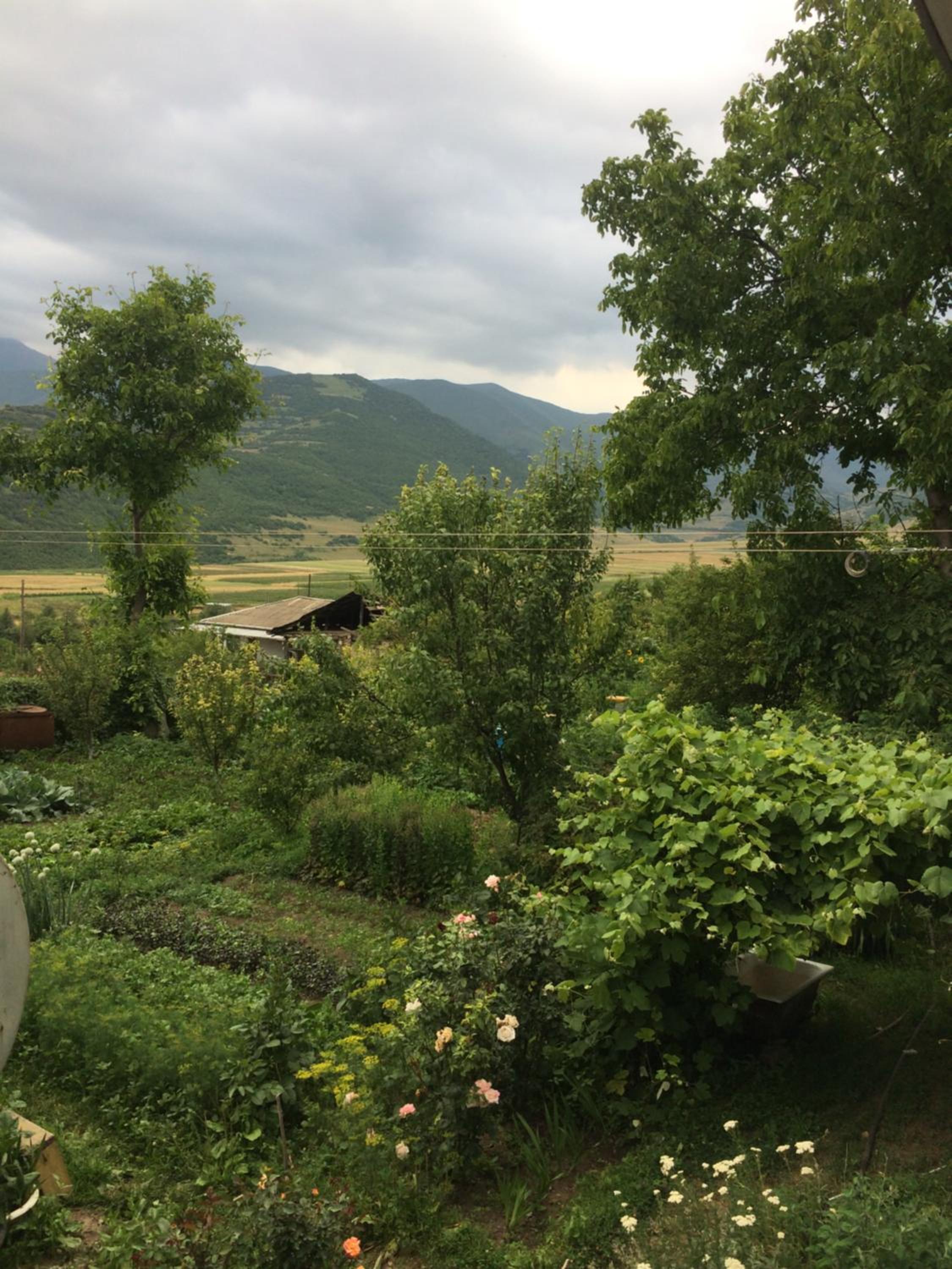 Anush`s B&B