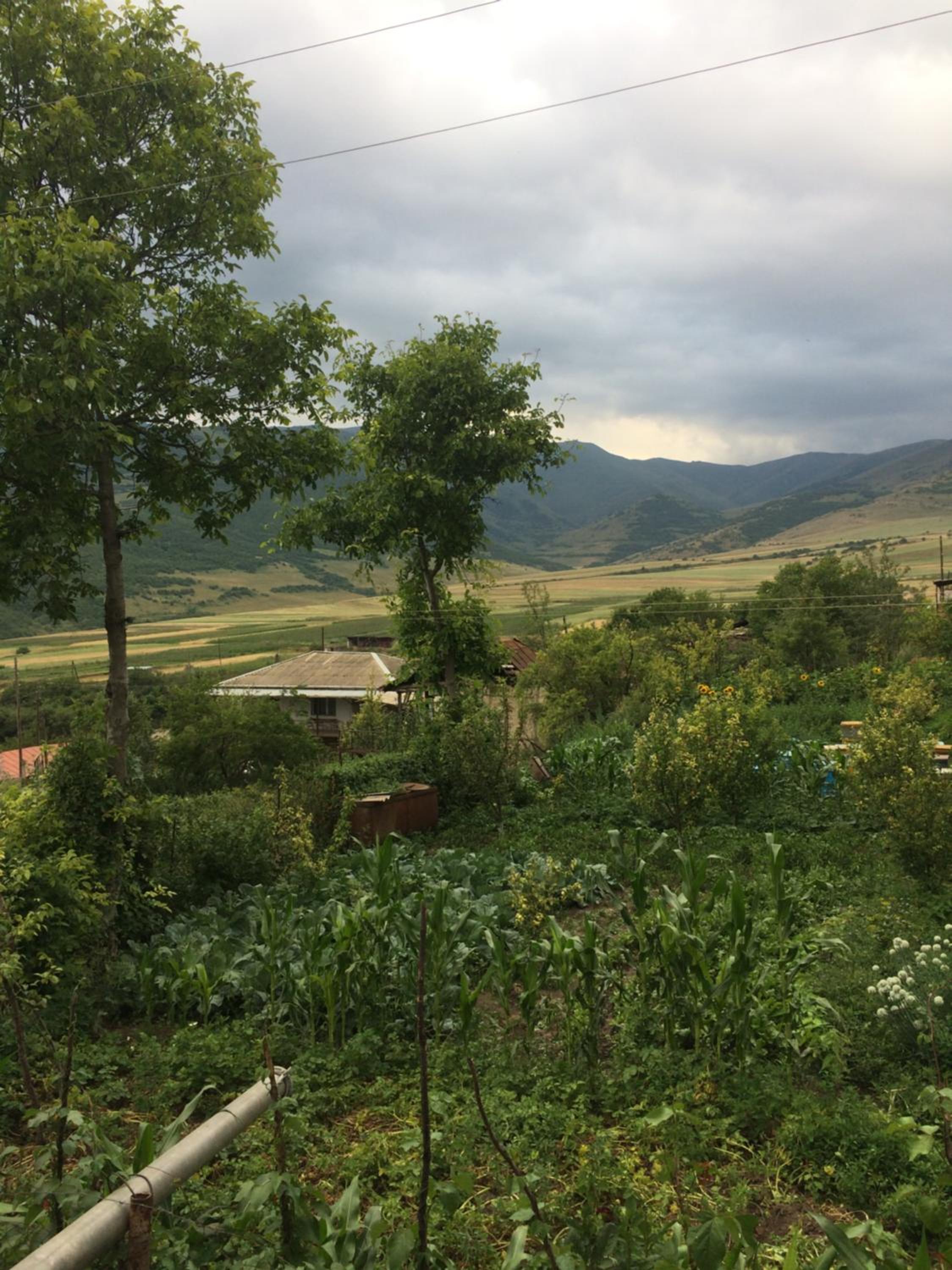 Anush`s B&B