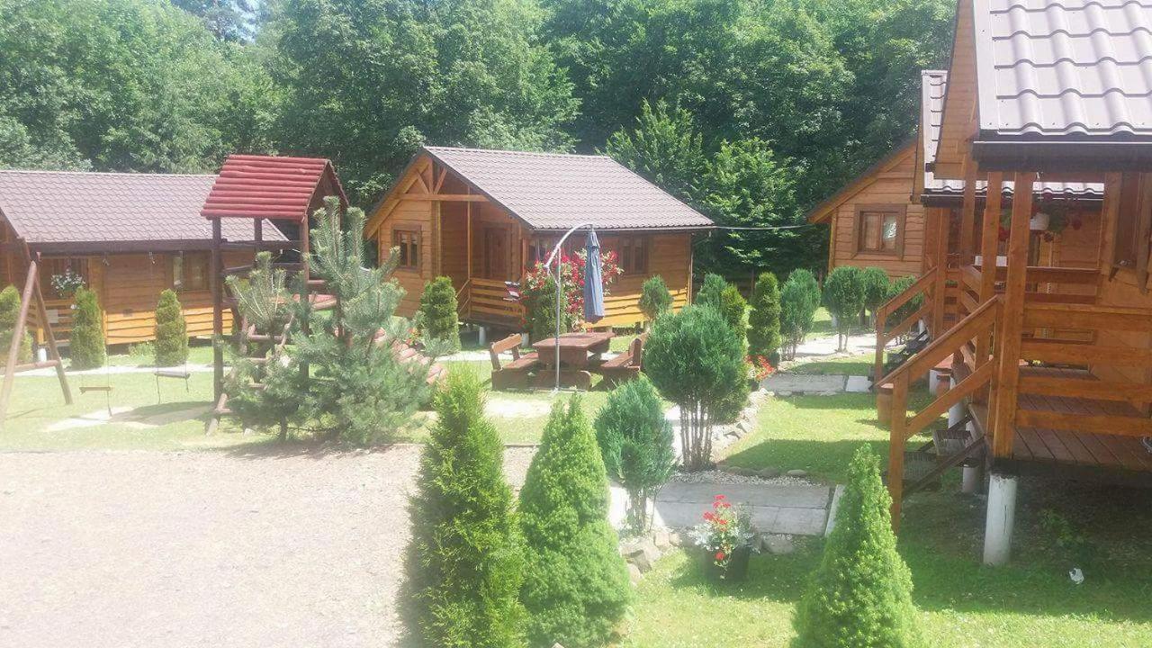 Photo 46