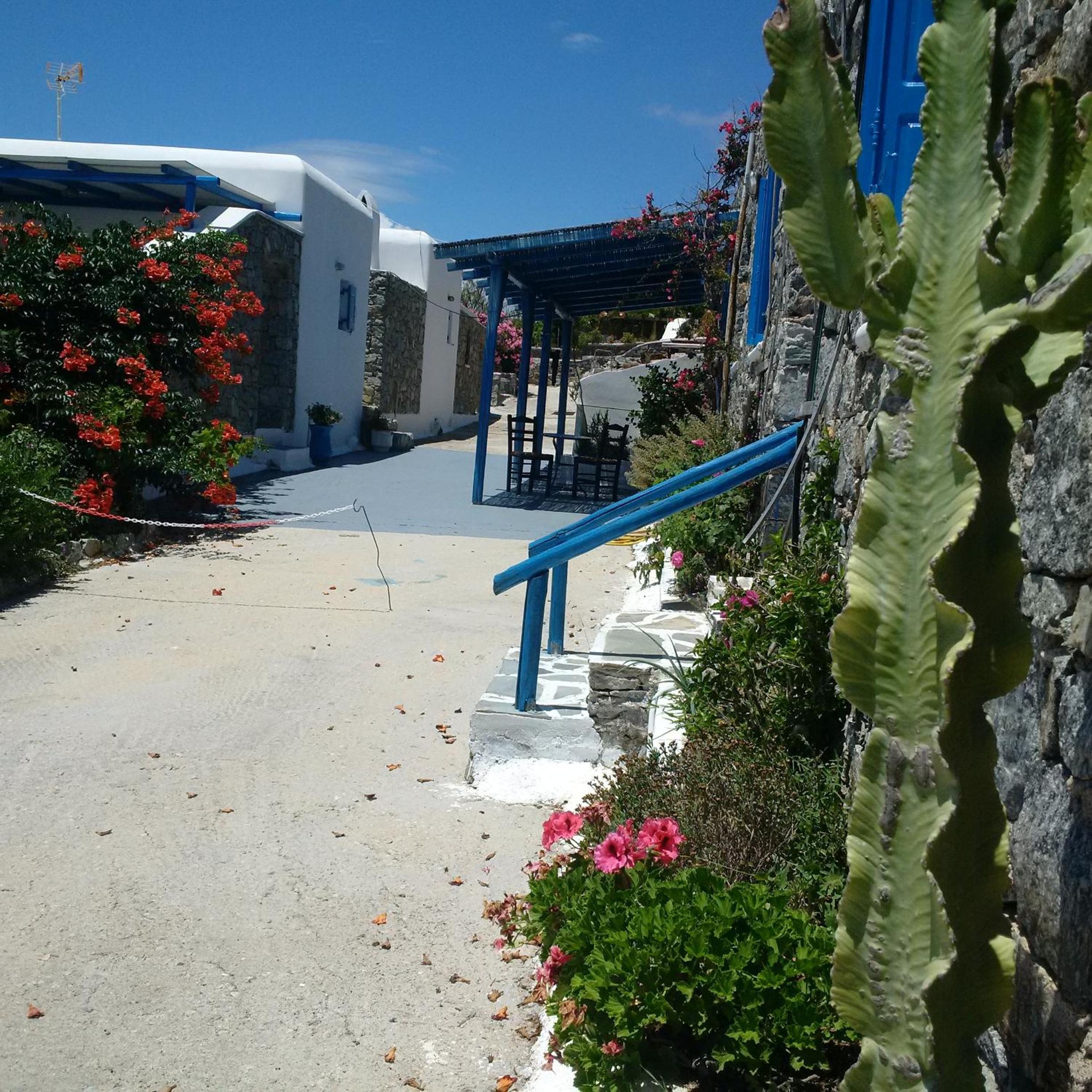 Photo 22