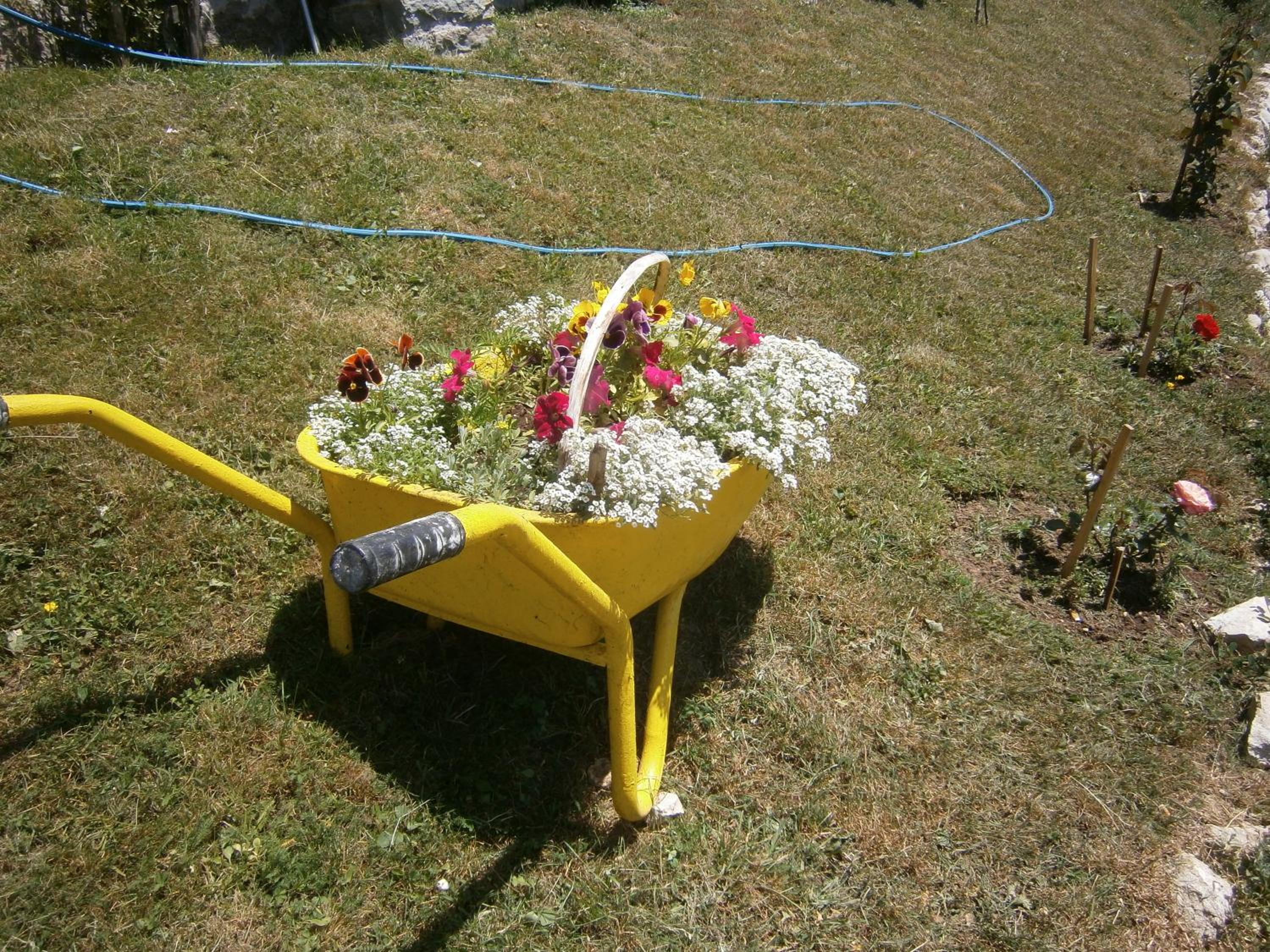 Photo 28