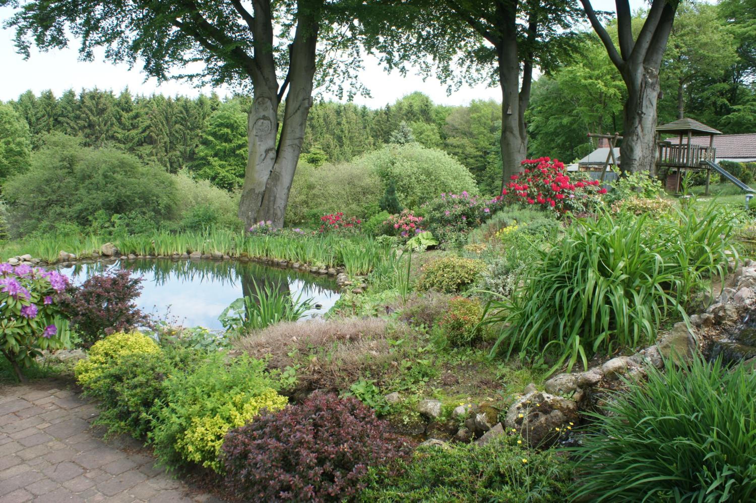 Photo 25