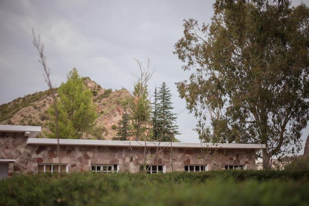 Bosque Divino Cabañas & Suites