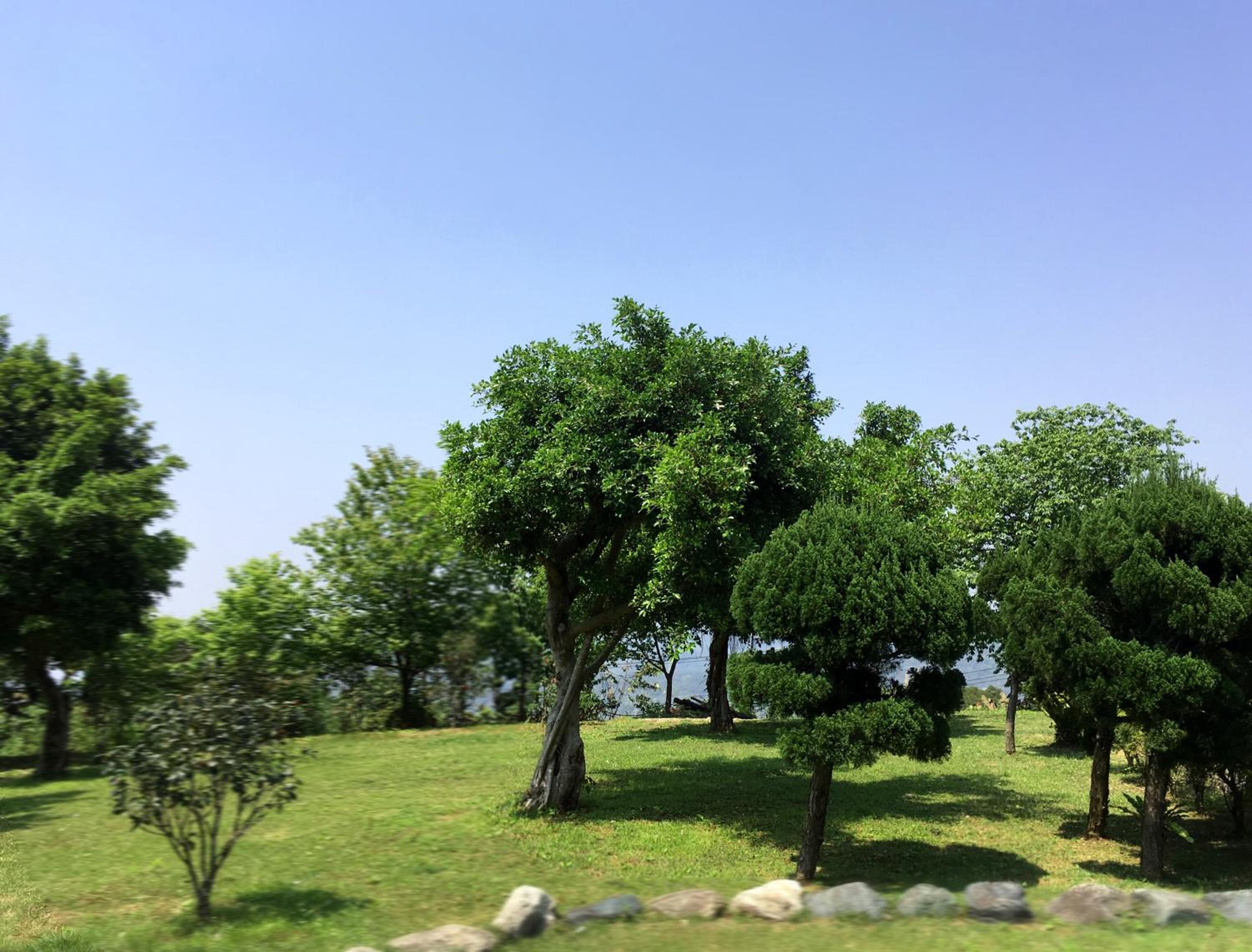 Photo 46