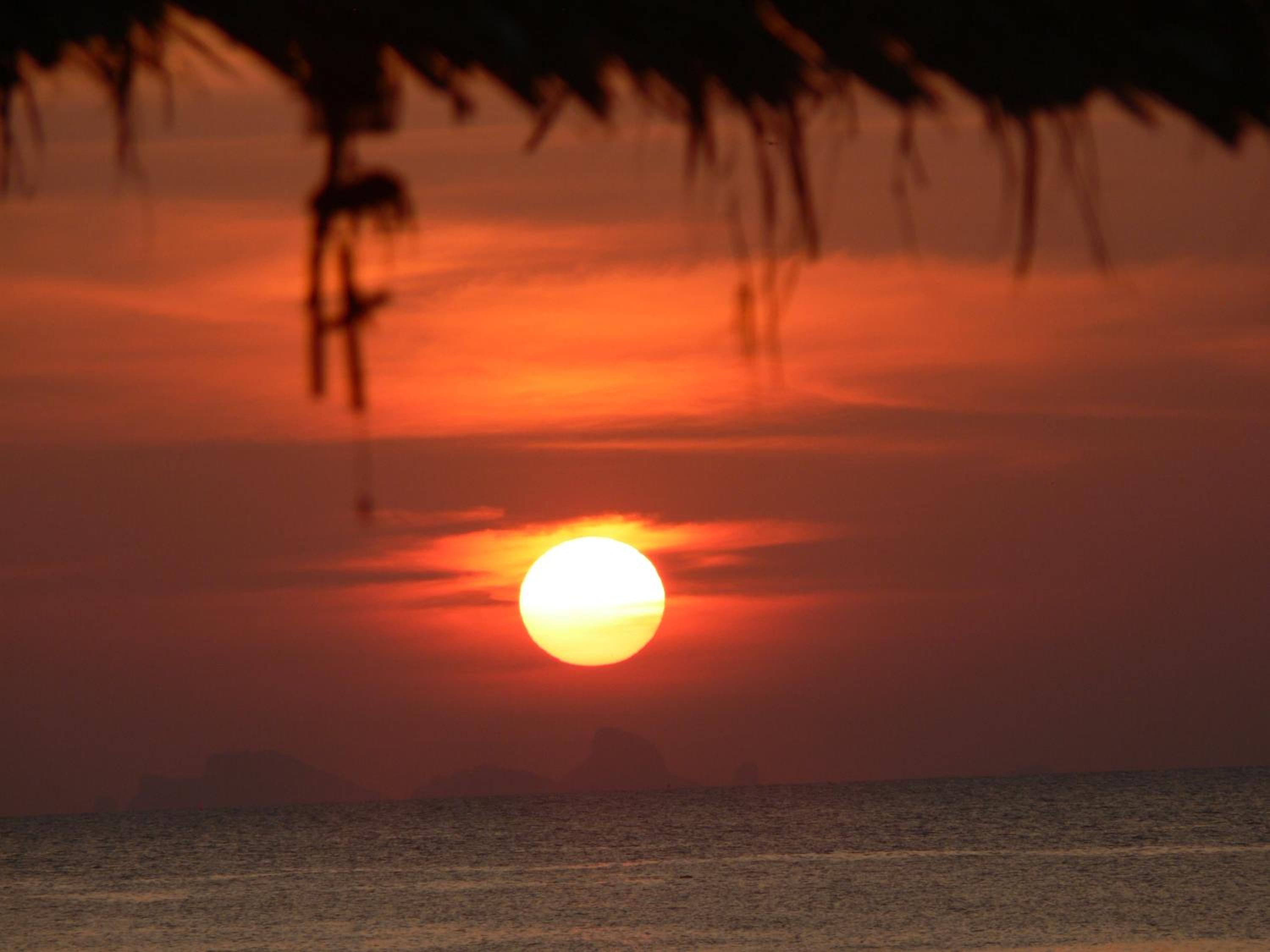 Ibiza Bungalows