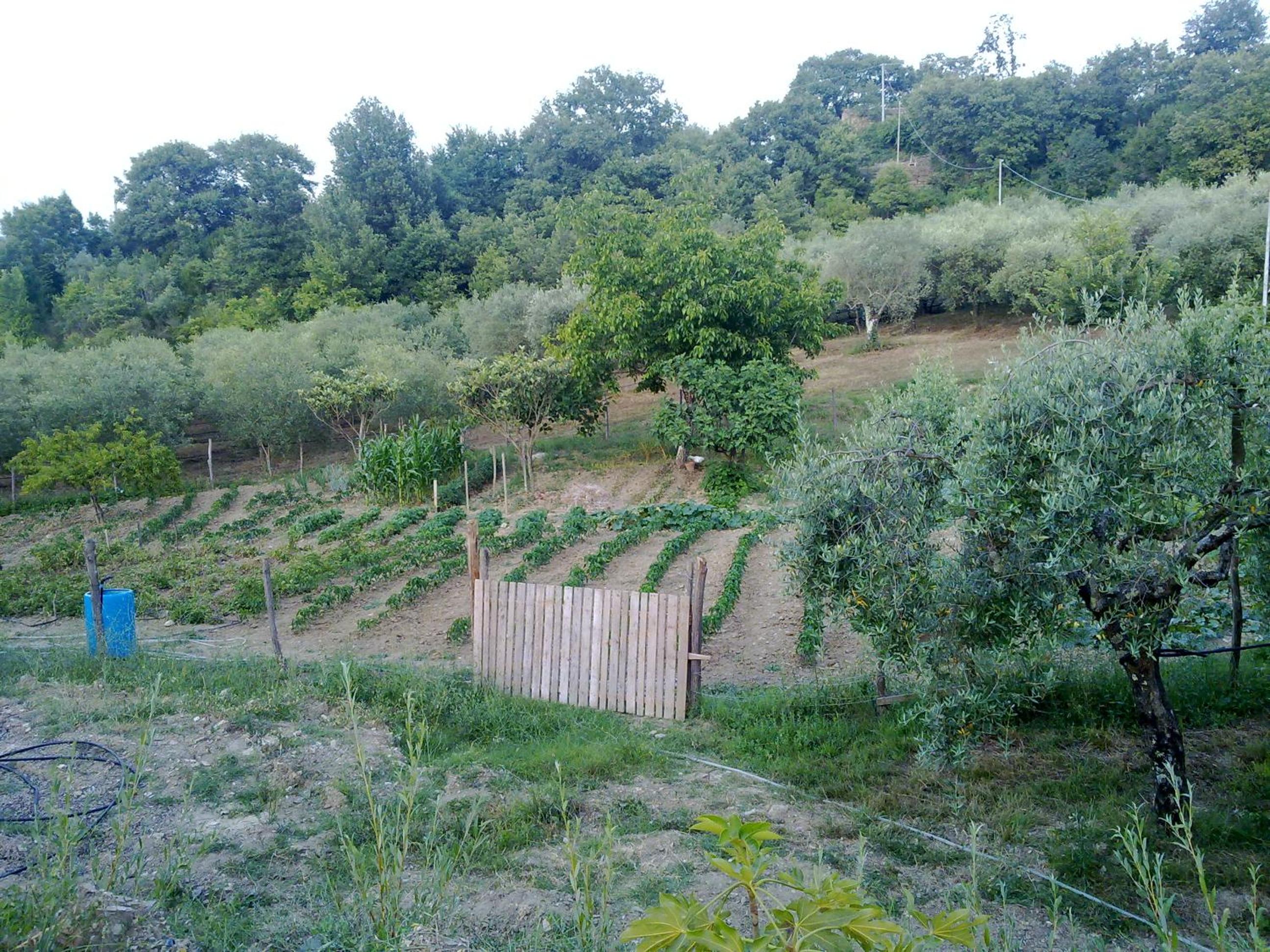 Agriturismo le Cammarose