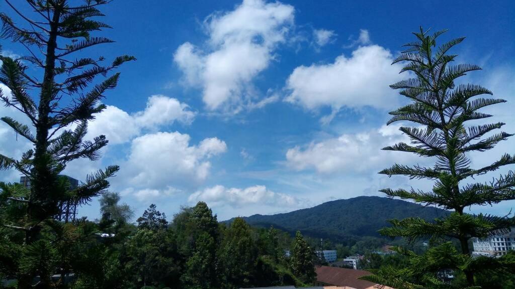 Greenhill Heritage Home