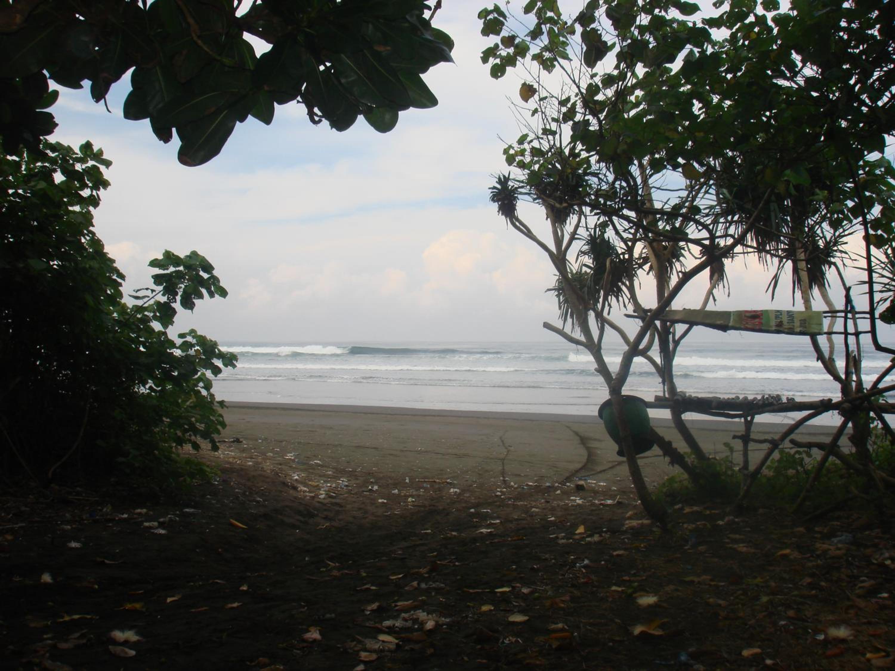 Thalia Homestay & Ijen Bromo Tour view 5