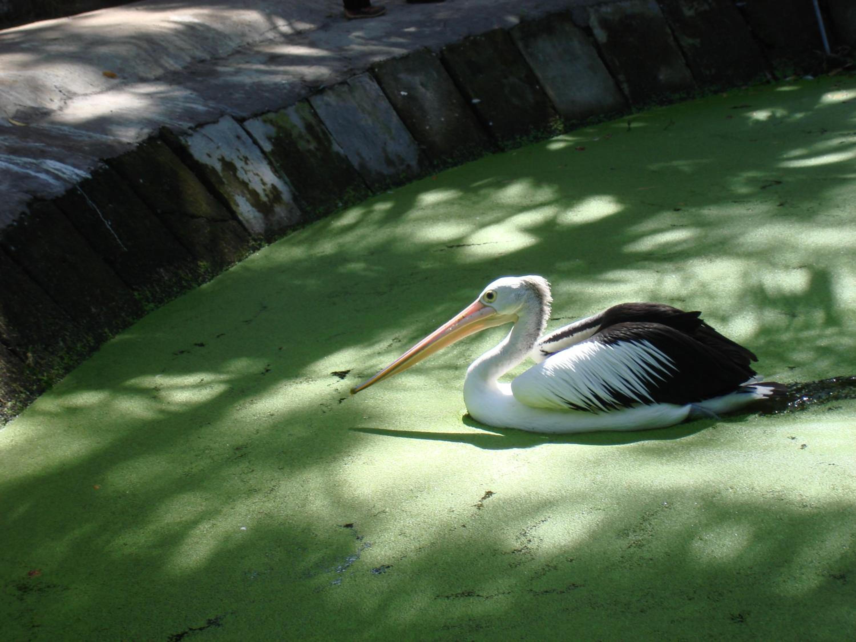 Photo 32