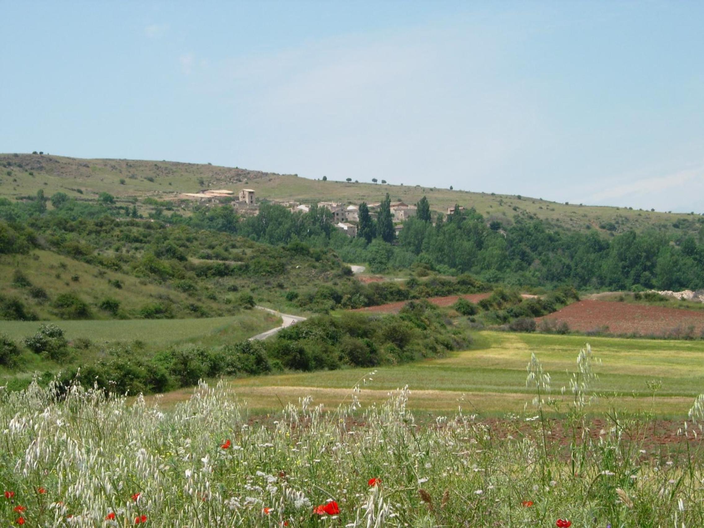 Photo 44
