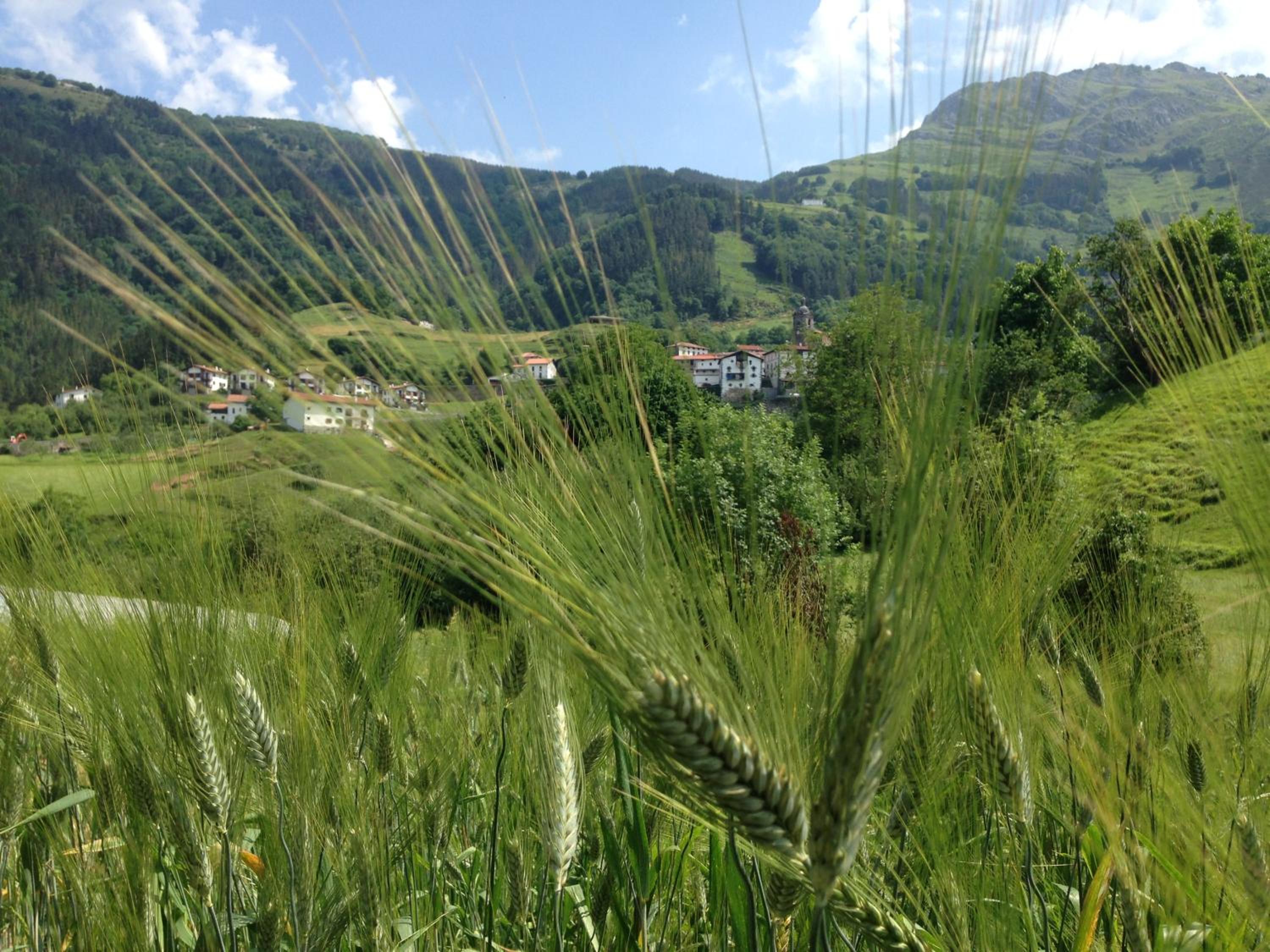 Etxeberri Landa Etxea view 2