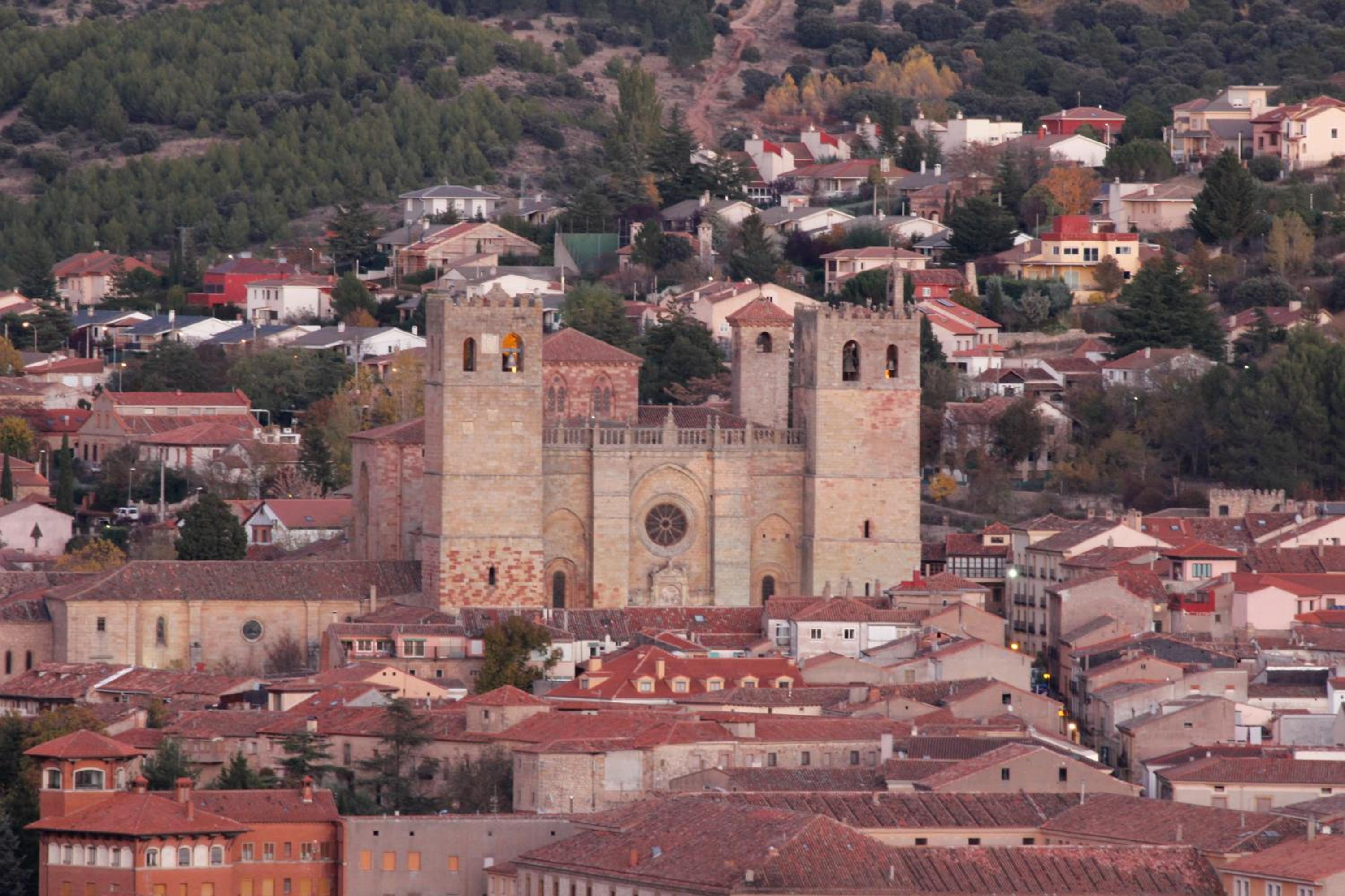 Photo 45