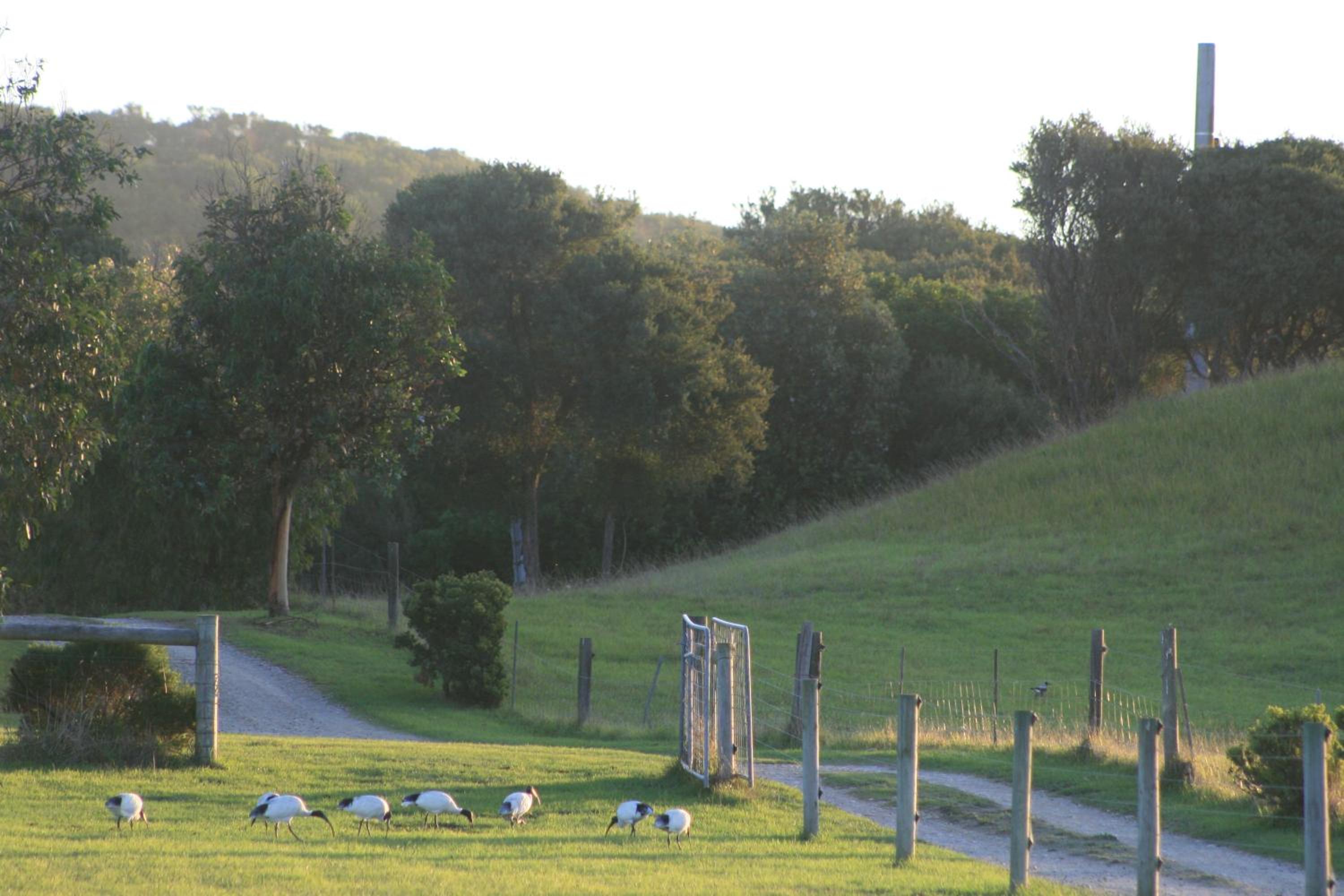 Photo 10