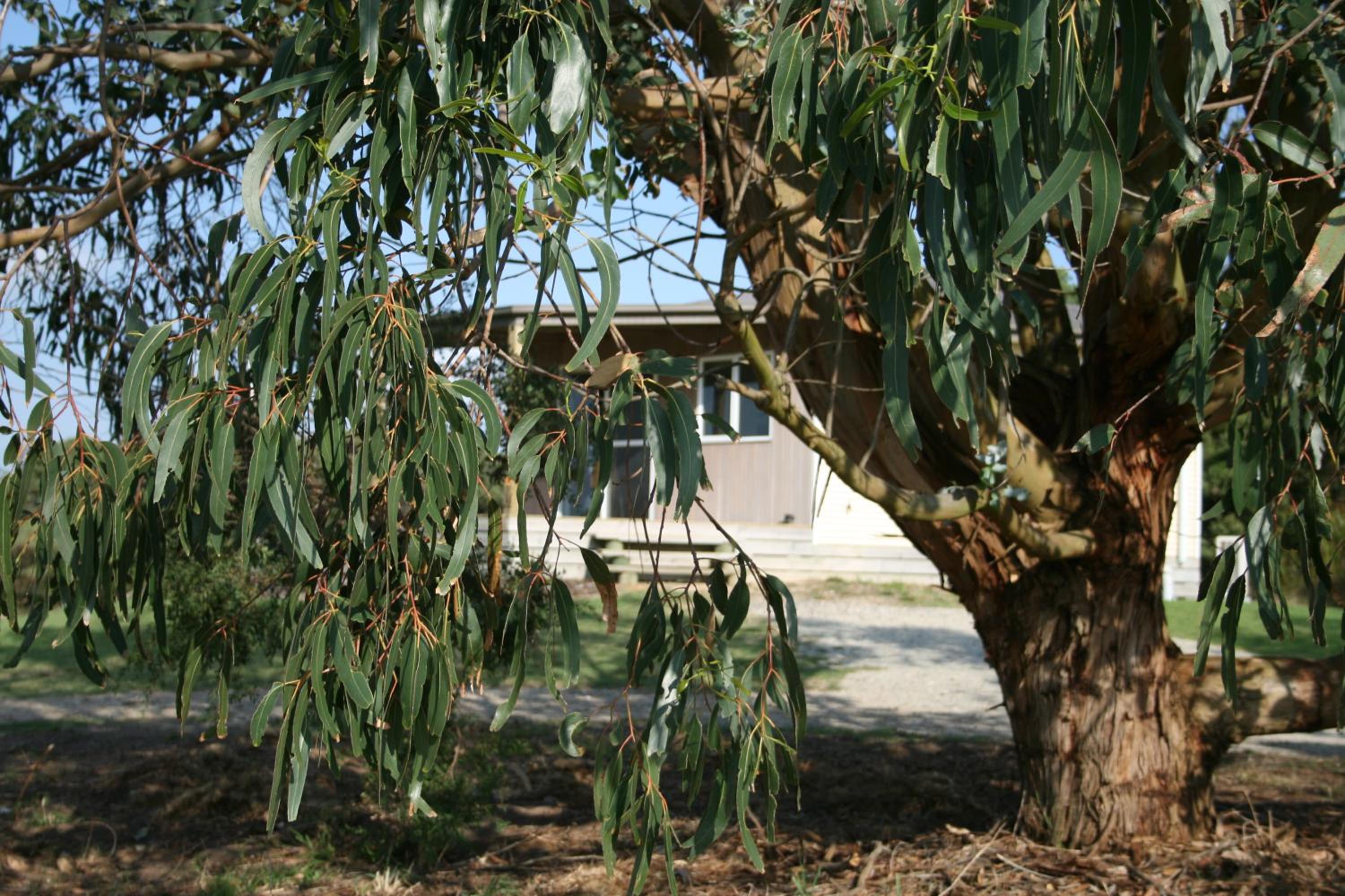 Photo 15