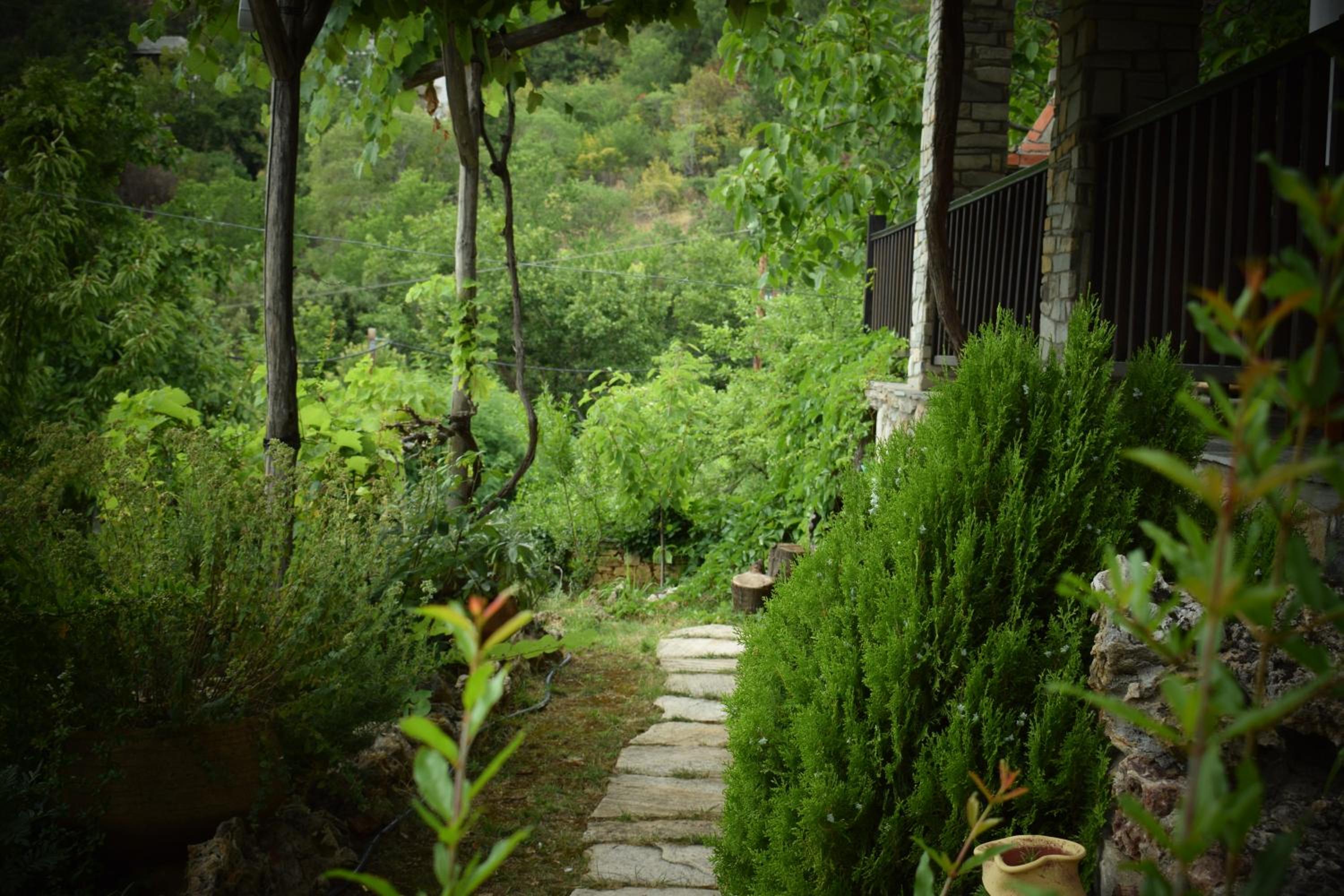 Photo 36