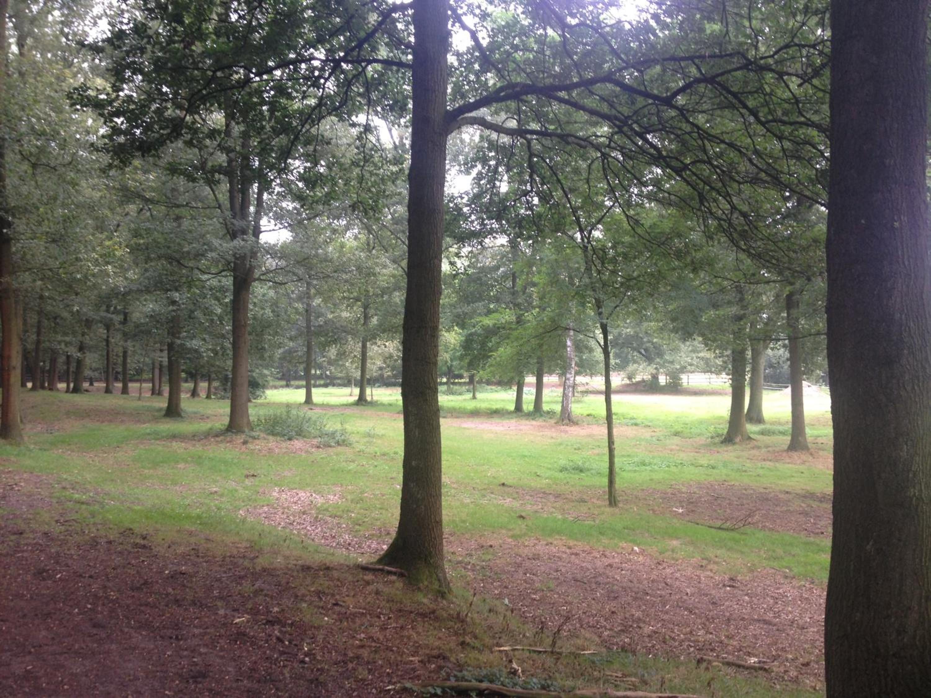 B&B Landgoed Bergerven view 2