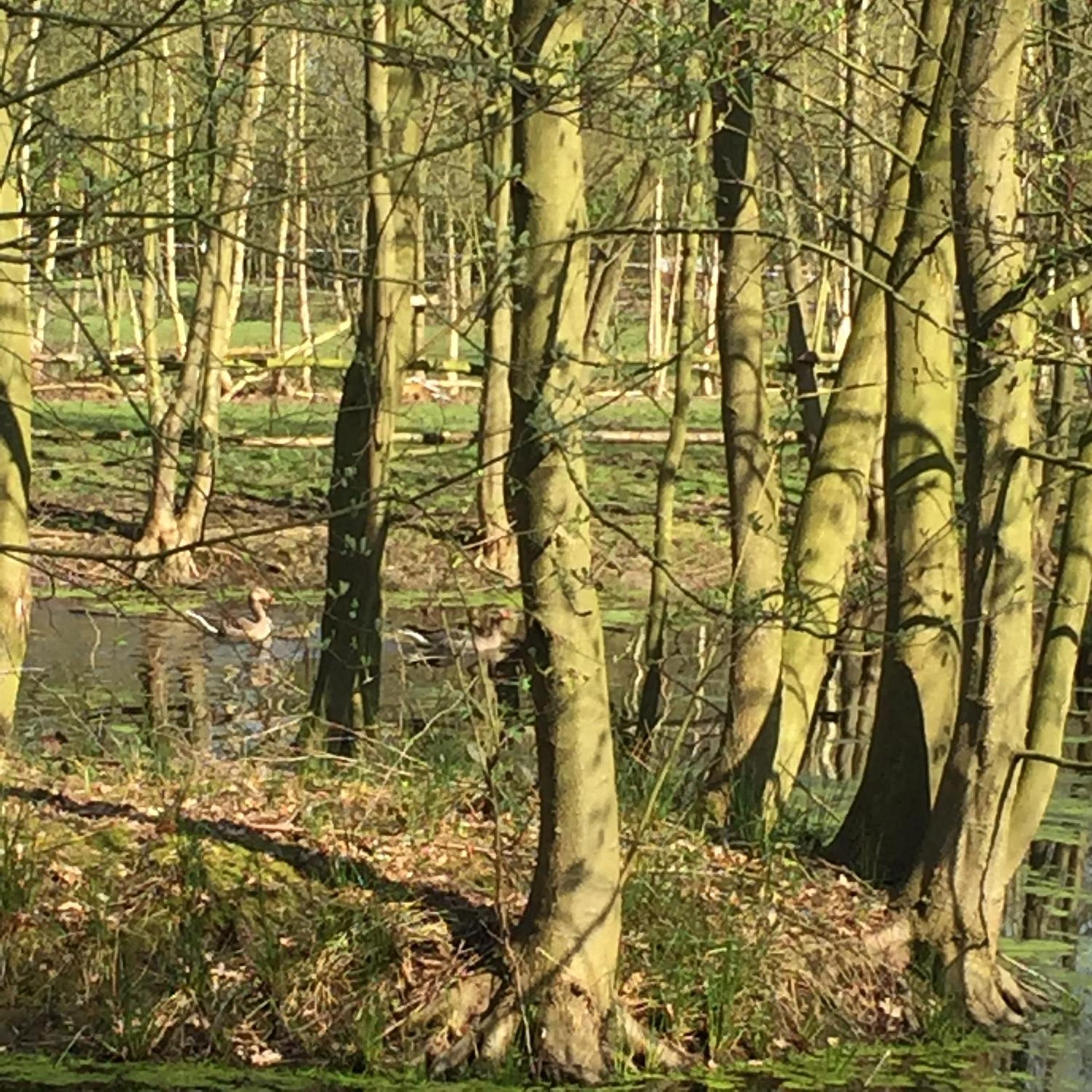 B&B Landgoed Bergerven view 5