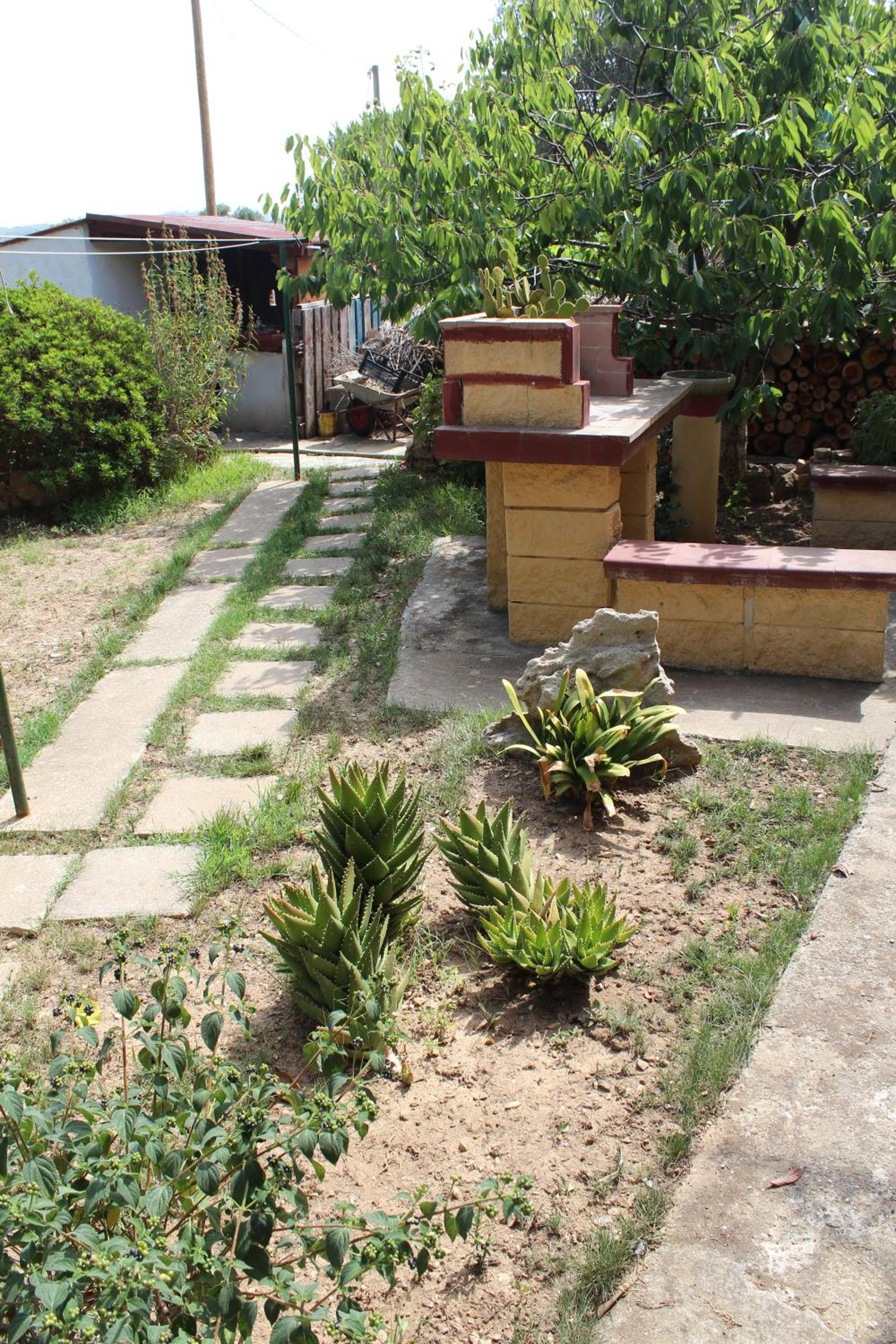 Photo 24