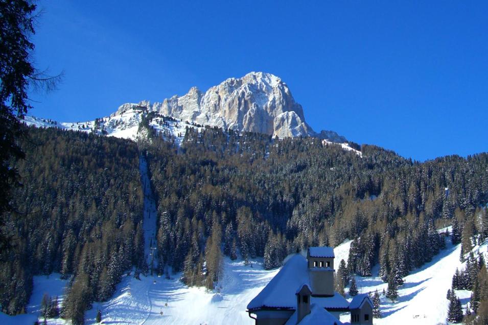 Photo 45