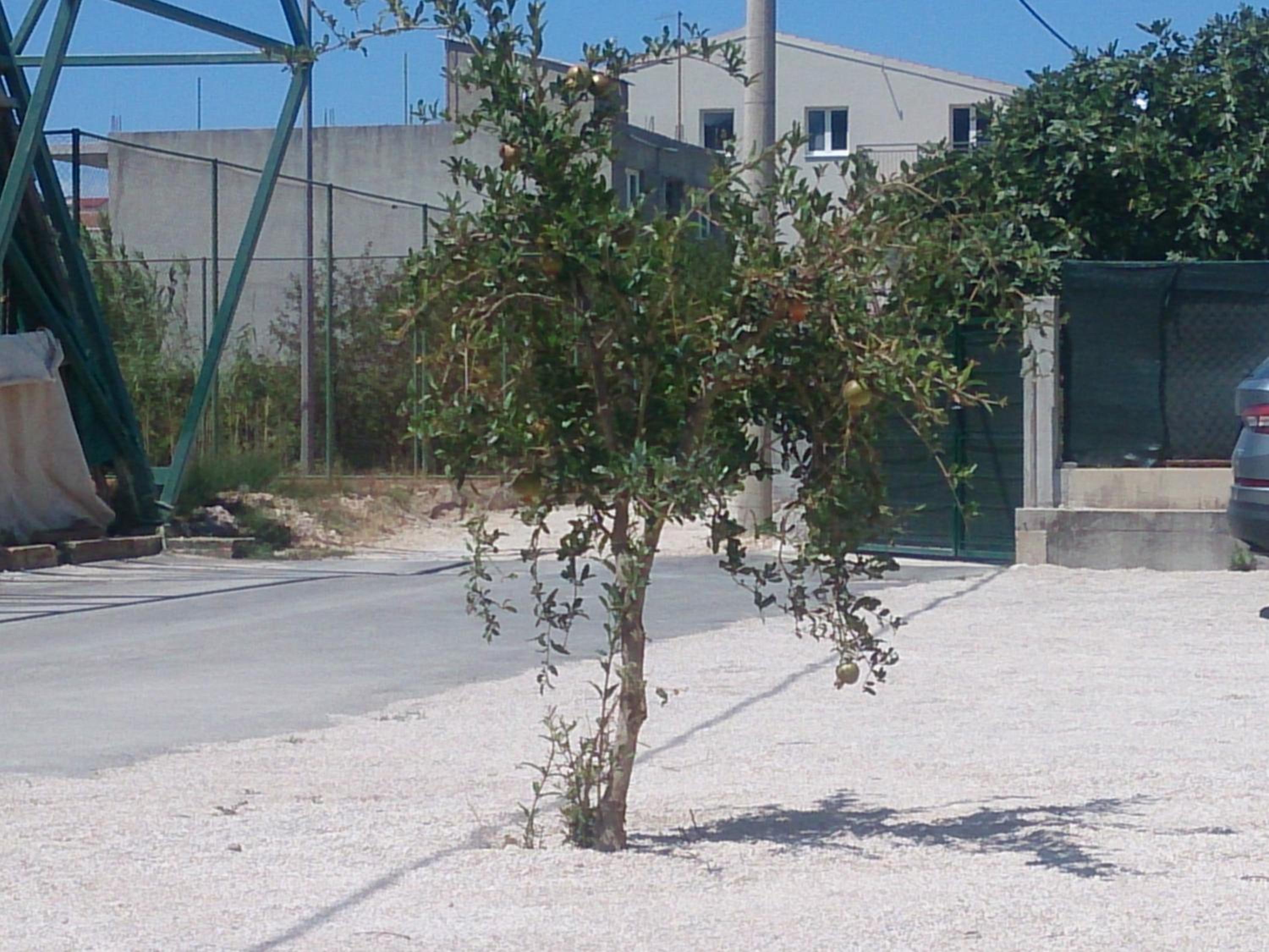 Photo 35