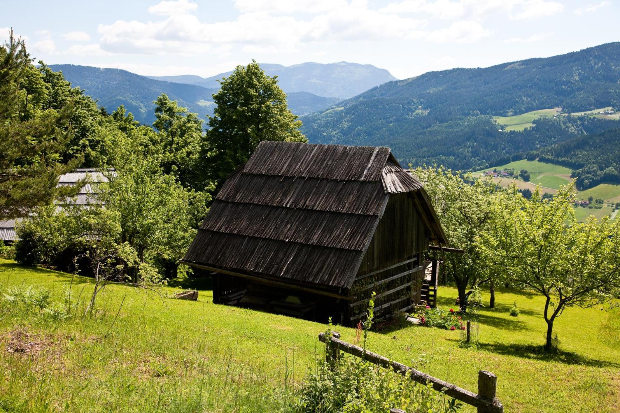 Photo 40
