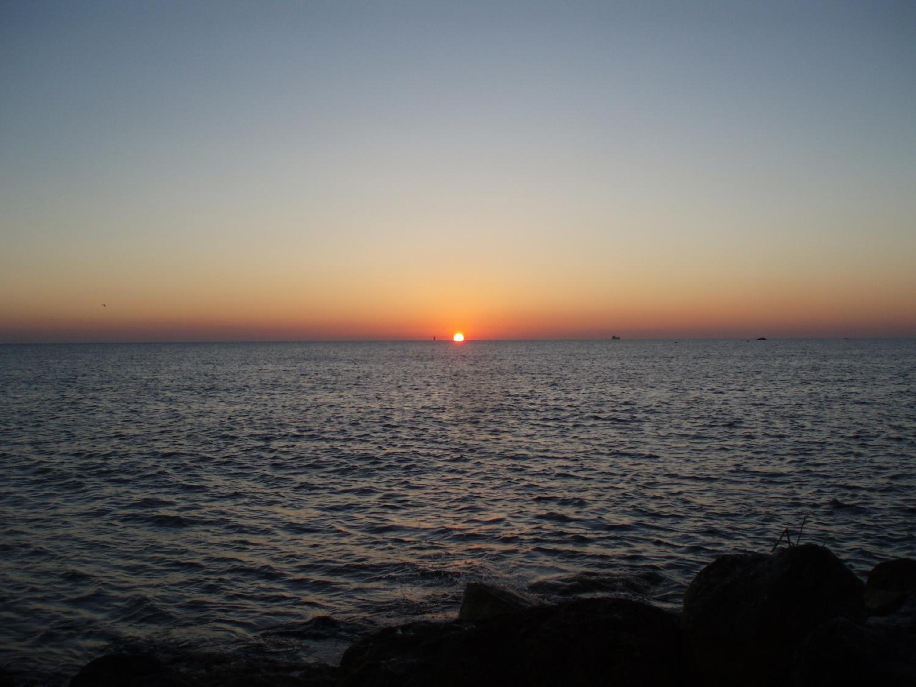 Photo 35