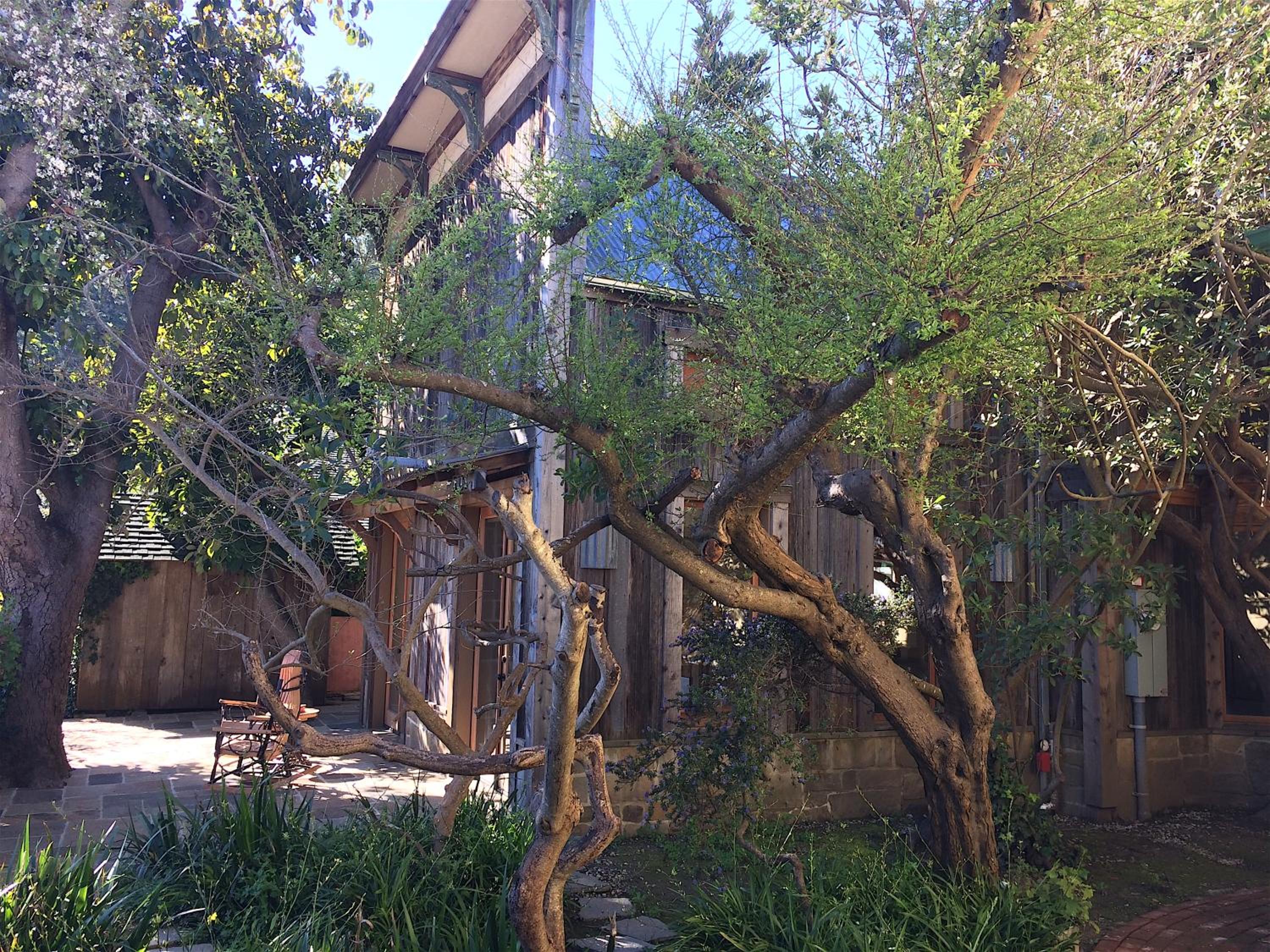 The Squibb Houses