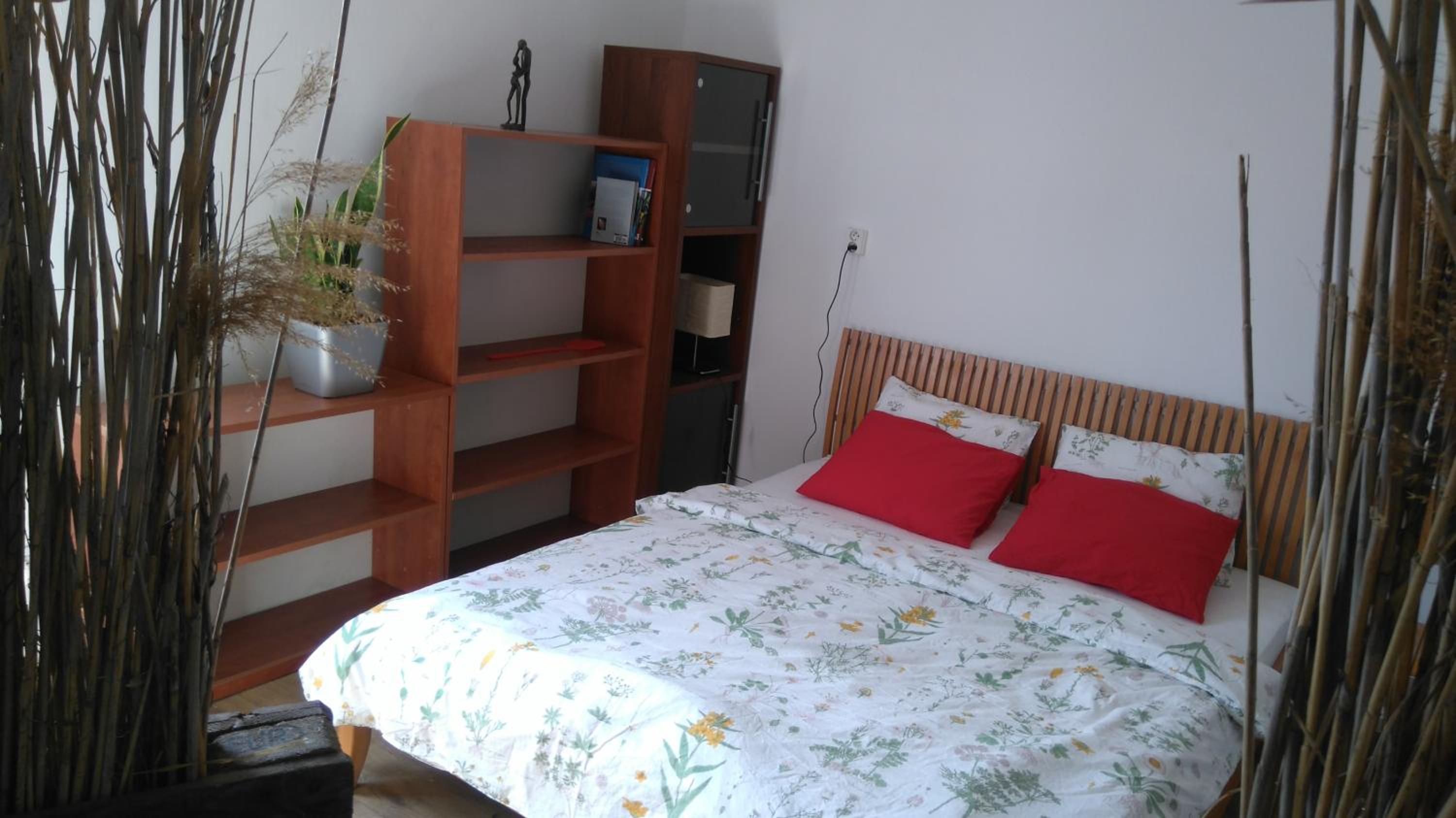 Rastlinky.sk Greenhouse Guestrooms, photo 24