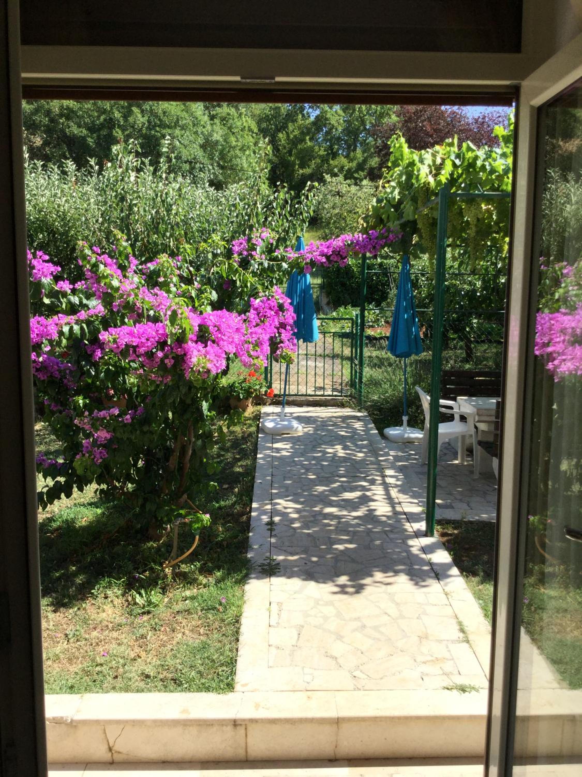Photo 31