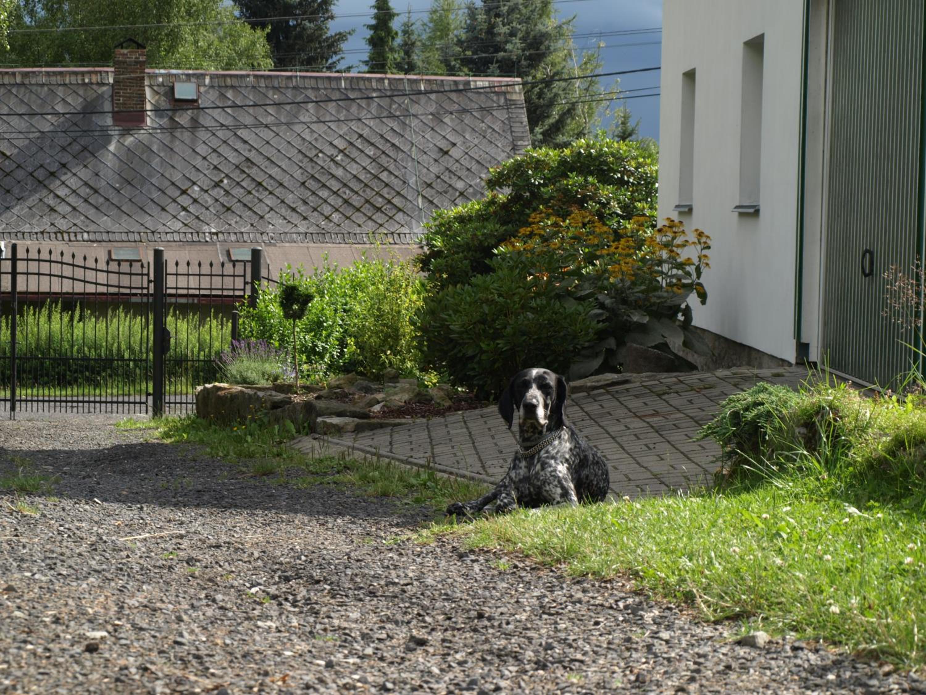 Guest House LUFT Sněžník